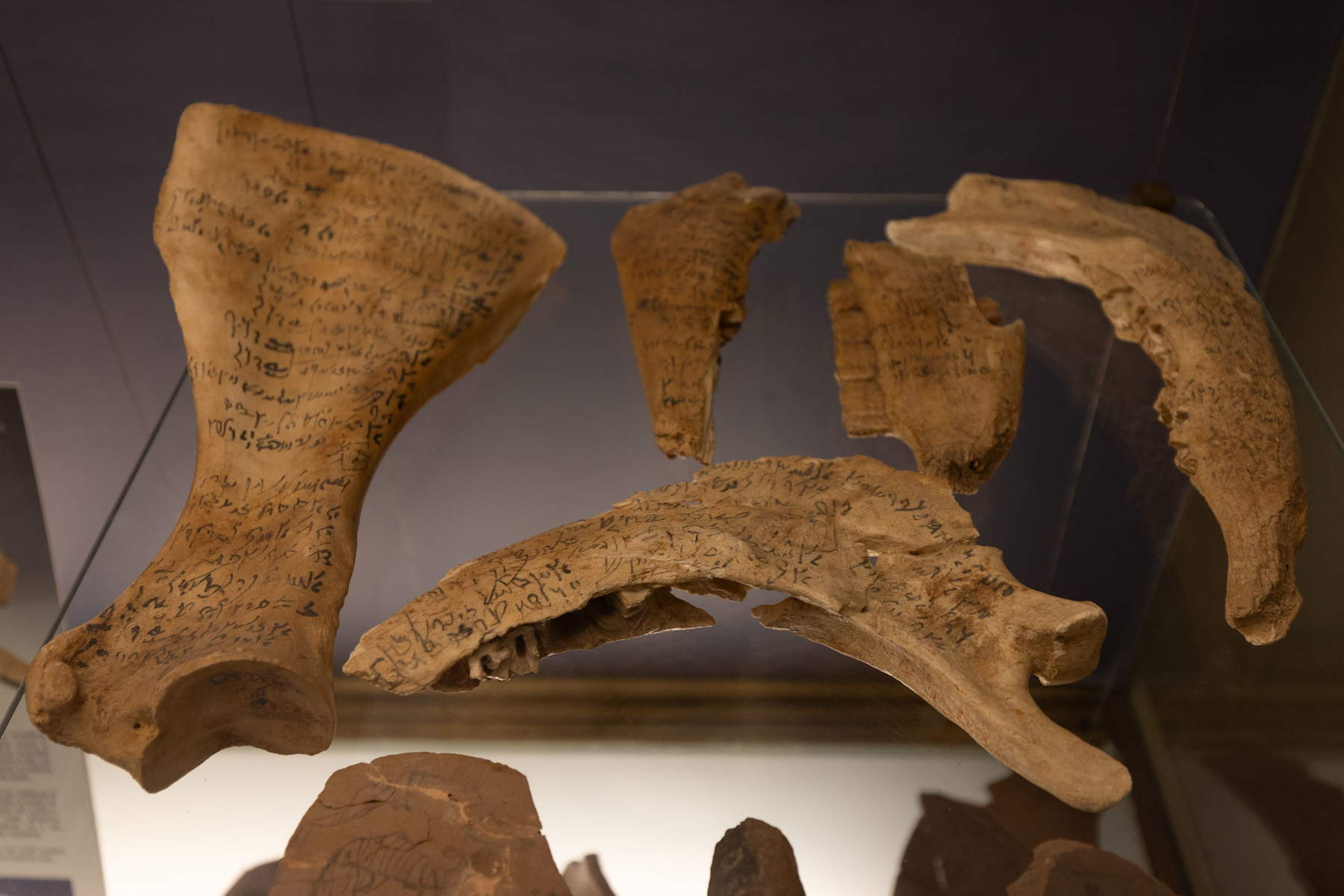 Ostraka d'Oxyrhynchus Ostraka d'Oxyrhynchus