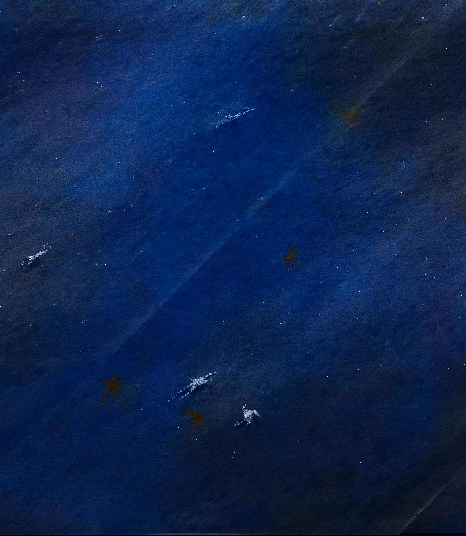 Concetta Modica, Il viaggio di un sepalo di pomodoro per diventare stella : ritratto di una notte : Modica 9 Febbraio 1986 L'ultima apparizione della cometa di Halley (2023 ; feutre, tirage monotype, moulages en bronze, grains de bronze, 70 x 80 cm). Avec l'aimable autorisation du musée de Wenzhou, Zhejiang, Chine. Concetta Modica, Il viaggio di un sepalo di pomodoro per diventare stella : ritratto di una notte : Modica 9 Febbraio 1986 L'ultima apparizione della cometa di Halley (2023 ; feutre, tirage monotype, moulages en bronze, grains de bronze, 70 x 80 cm). Avec l'aimable autorisation du musée de Wenzhou, Zhejiang, Chine.