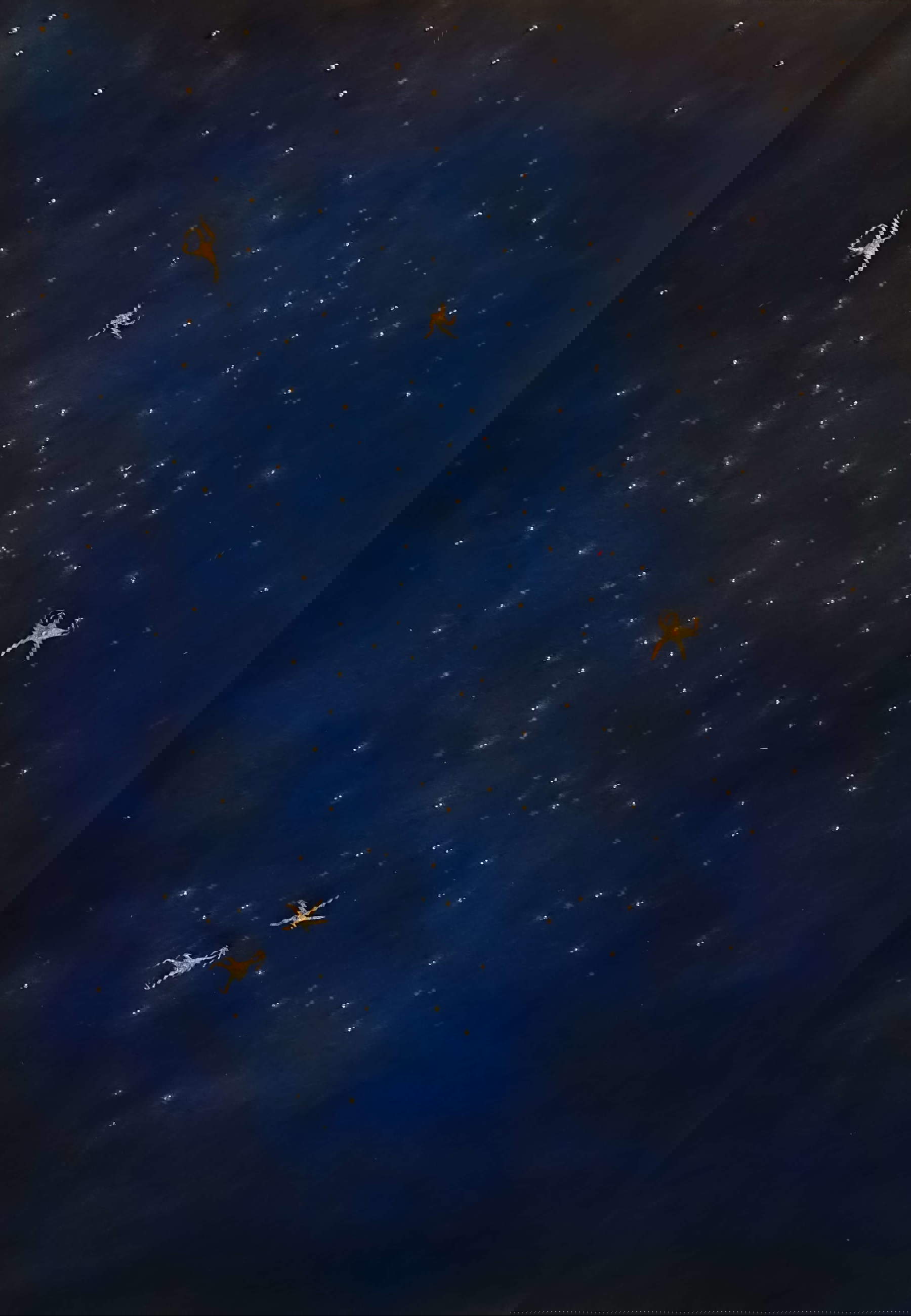 Concetta Modica, Il viaggio di un sepalo di pomodoro per diventare stella: ritratto di una notte Baltimora 31 Marzo 2022 si riesce a ottenere l’immagine di Earendel la stella più lontana e antica dell’Universo mai vista, 12,9 miliardi di anni luce da noi (2023; feltro, stampa in monotipia, fusioni in bronzo, grani in bronzo, 80 x 114 cm; Milano, Collezione privata) Concetta Modica, The Journey of a Tomato Sepal to Become a Star : Portrait of a Night, Baltimore 31 March 2022 we succeed in obtaining the image of Earendel the most distant and oldest star in the Universe ever seen, 12.9 billion light years from us (2023 ; felt, monotype print, bronze castings, bronze grains, 80 x 114 cm ; Milan, Private Collection)