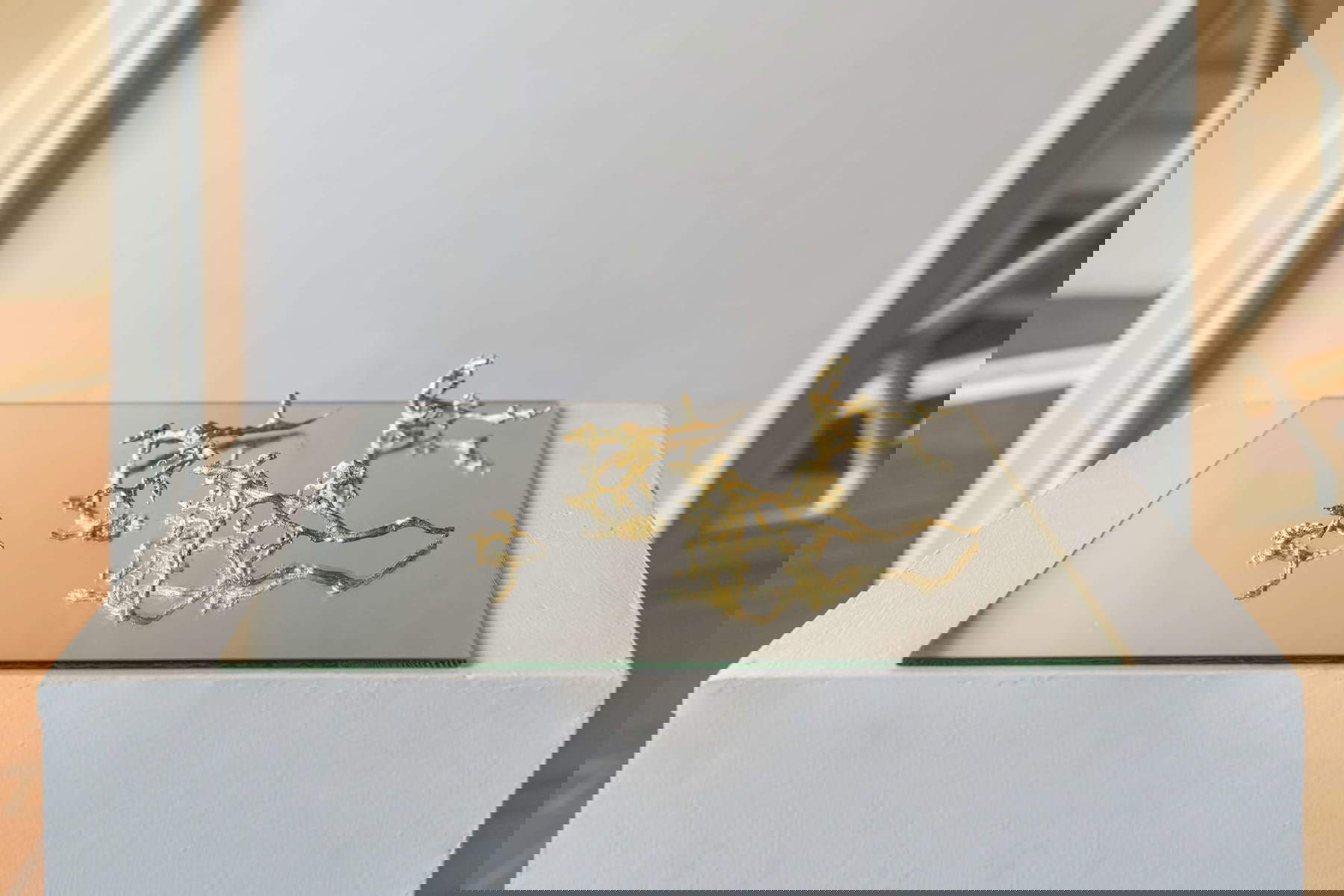 Concetta Modica, Quel che resta (2017 ; rafles de raisin, feuille d'or pur, dimensions variables). Photo : Ela Bialkowska, avec l'aimable autorisation de l'artiste et de l'APFC. Concetta Modica, Quel che resta (2017 ; rafles de raisin, feuille d'or pur, dimensions variables). Photo : Ela Bialkowska, avec l'aimable autorisation de l'artiste et de l'APFC.