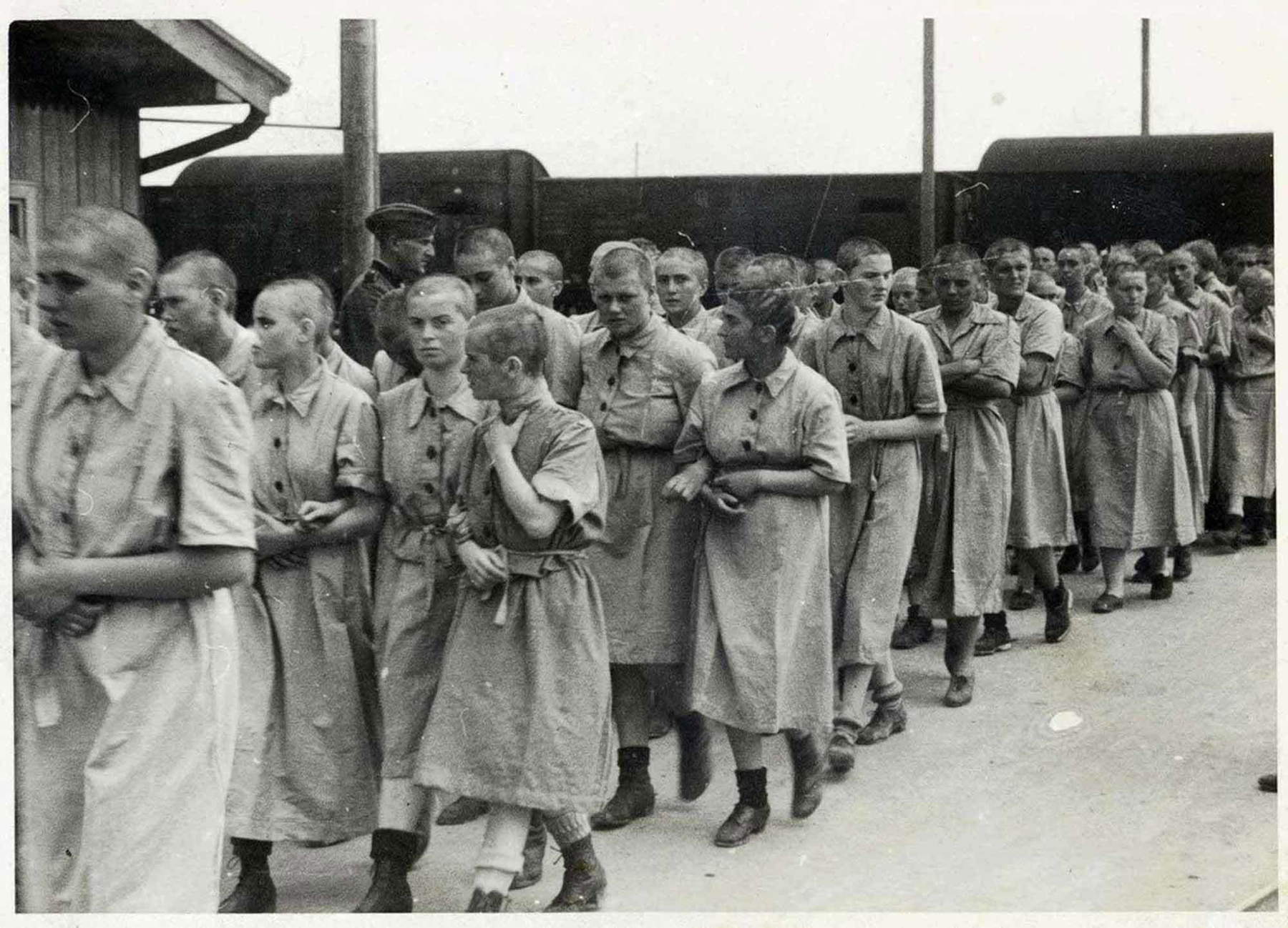 Prisoners in Auschwitz. Photo by Wilhelm Brasse Prisoners in Auschwitz. Photo by Wilhelm Brasse