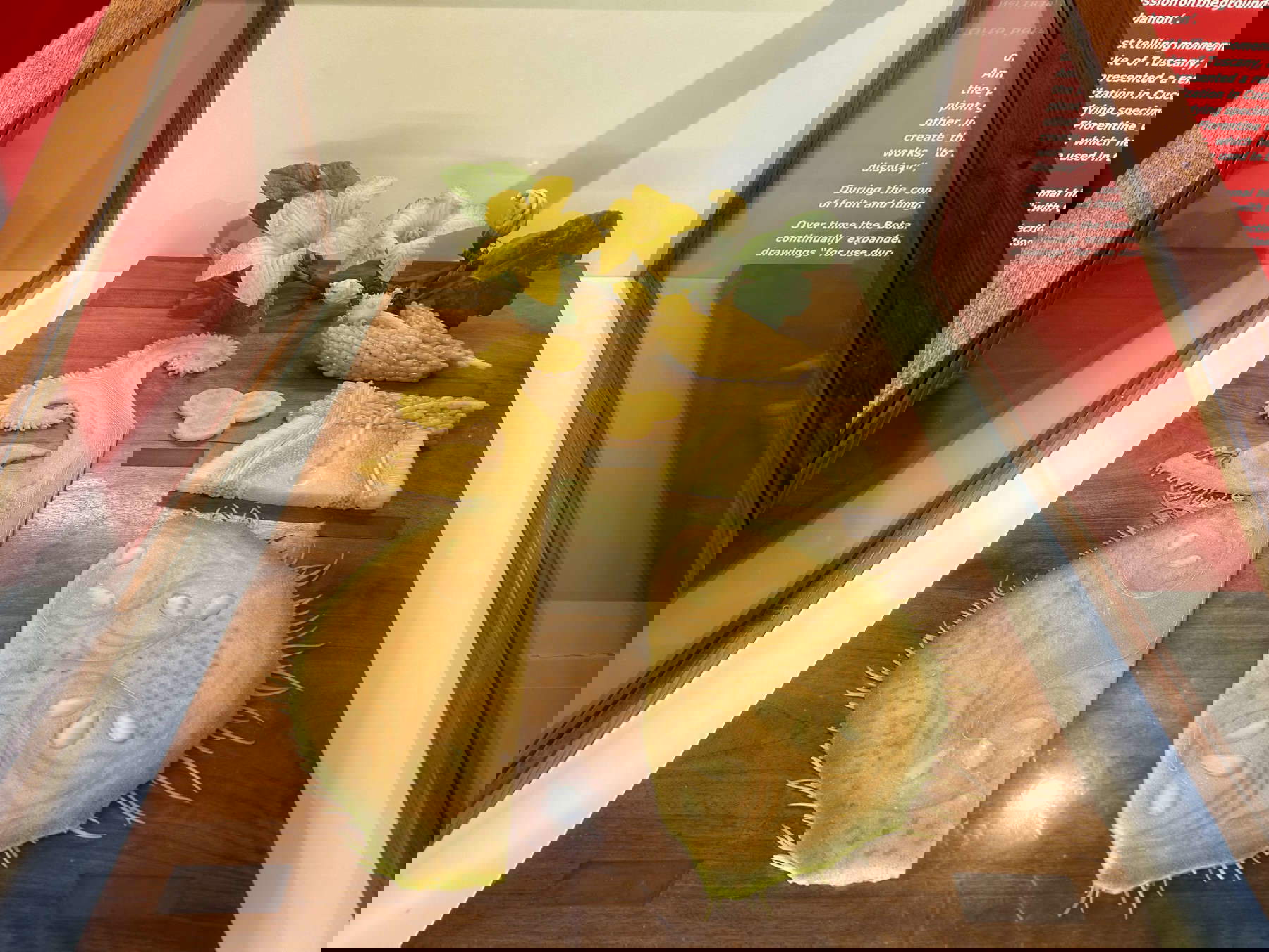 Il celebre modello presentato da Amici