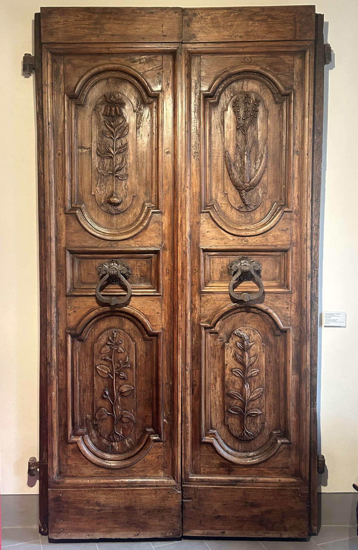 Il monumentale portone in origine all&rsquo;ingresso dell&rsquo;Orto Botanico