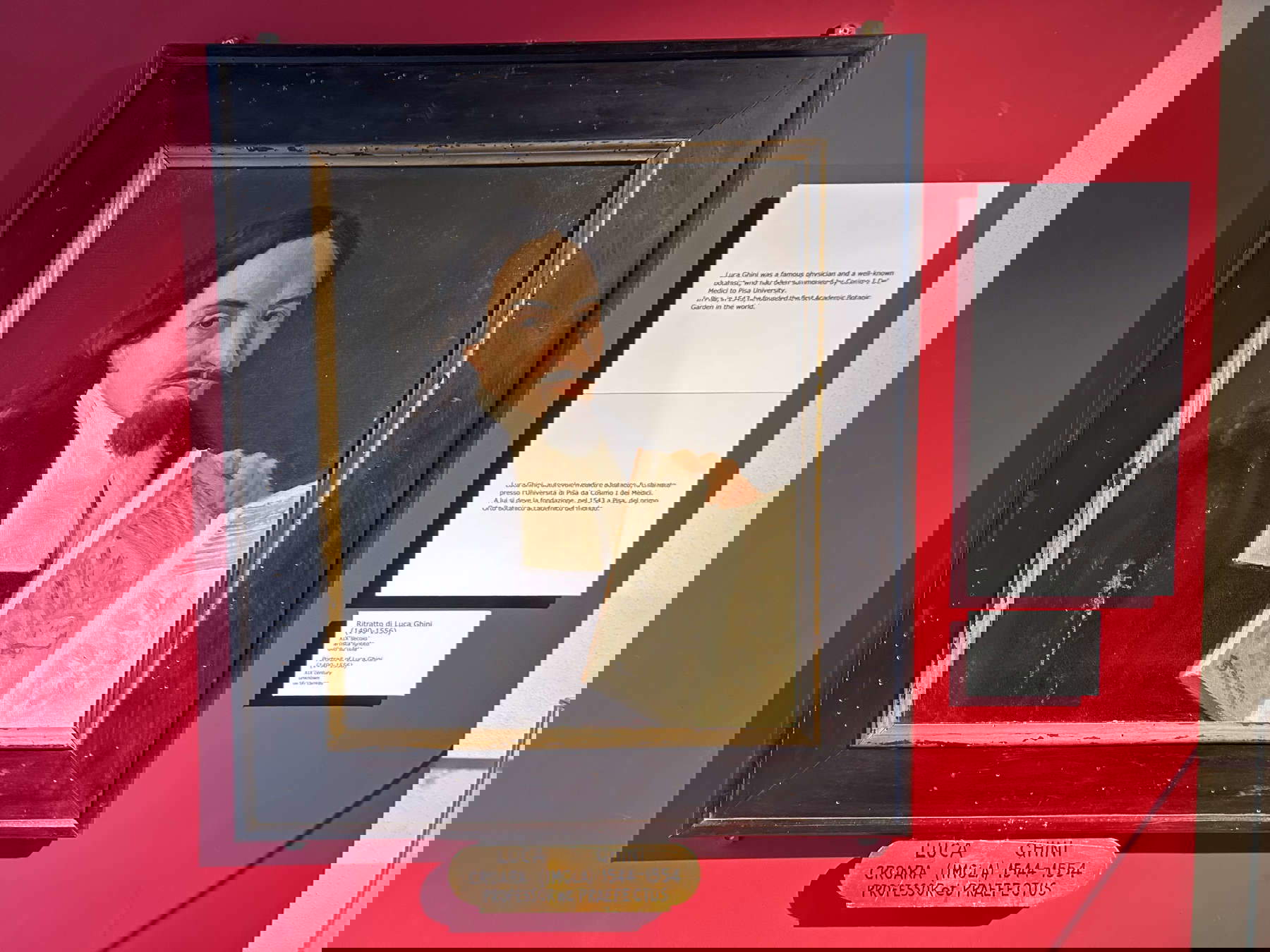 Il ritratto di Luca Ghini