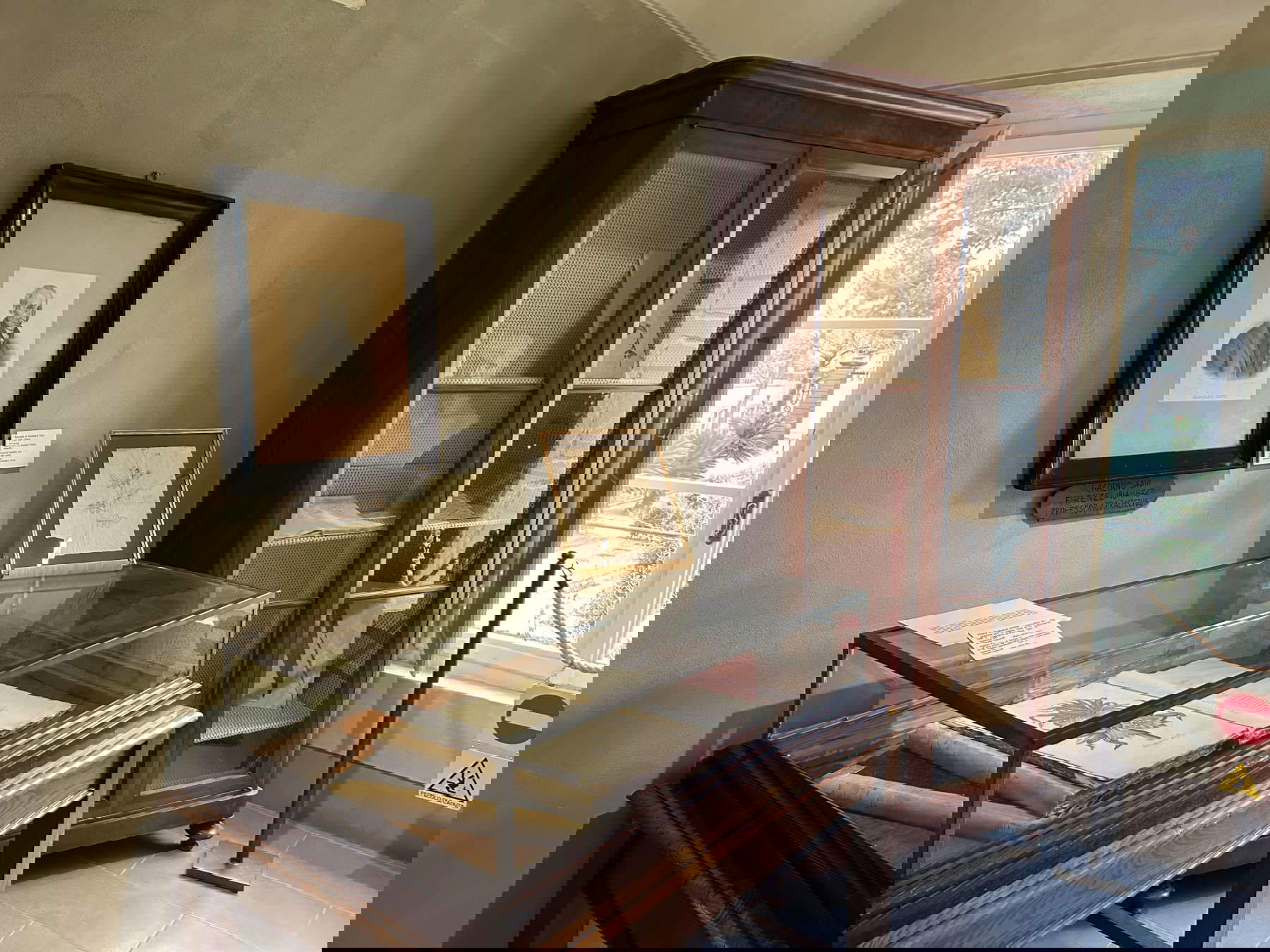 La sala dedicata a Gaetano Savi