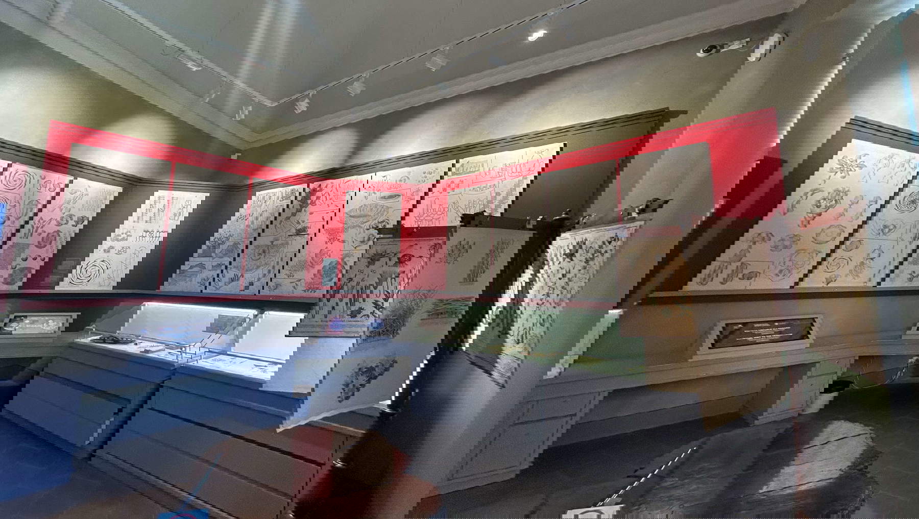 La sala delle tavole didattiche