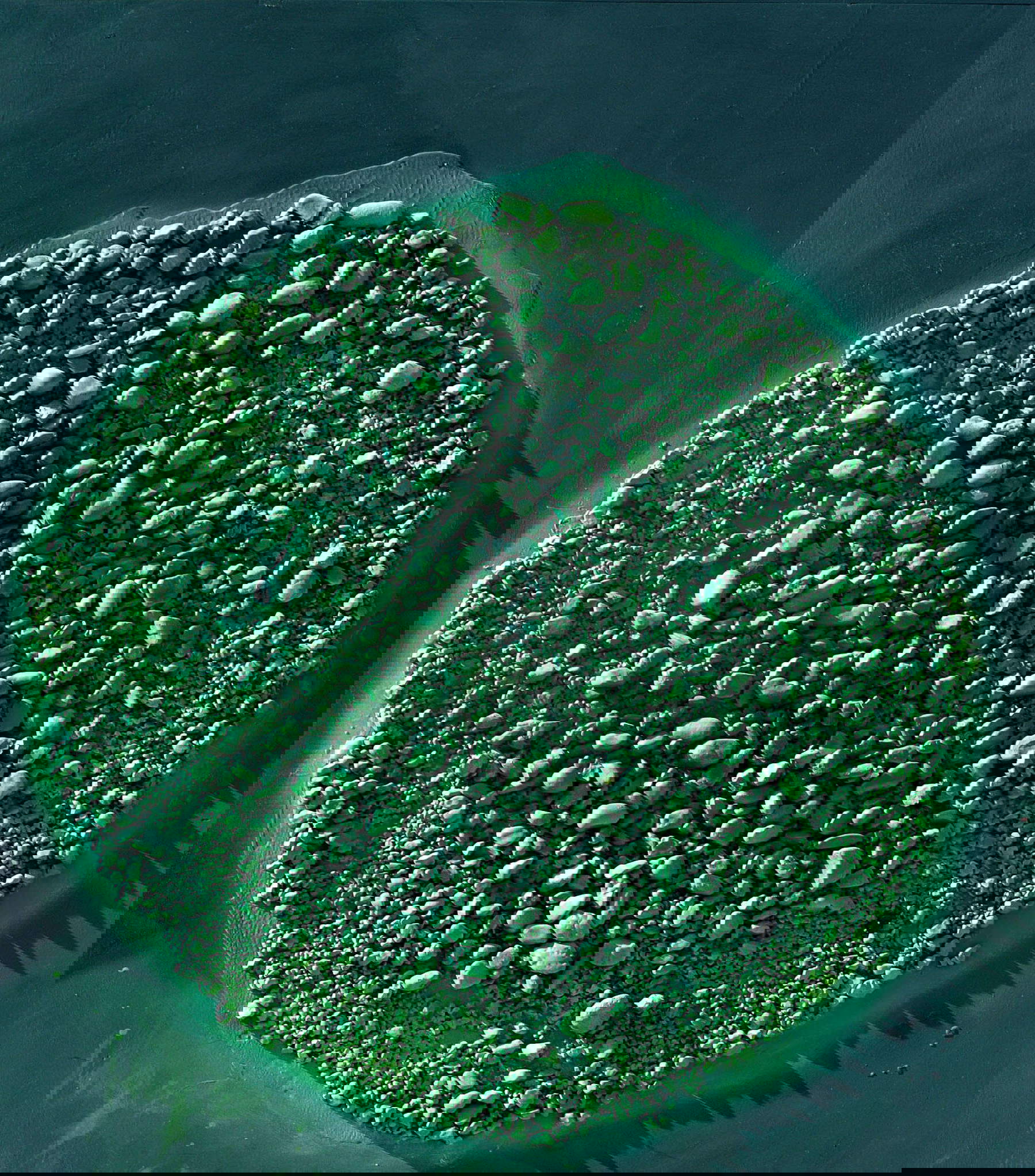 Giulio Candussio, Asteroide (1984; mosaico, 140 x 125) Giulio Candussio, Asteroide (1984; mosaico, 140 x 125)