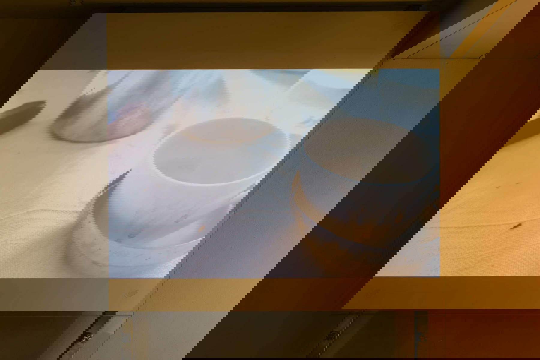 Conception de l'exposition par Alessandra Spranzi. Qui ne recherche que sa beauté, de la manière décrite ici. Photo : Valentina Cafarotti