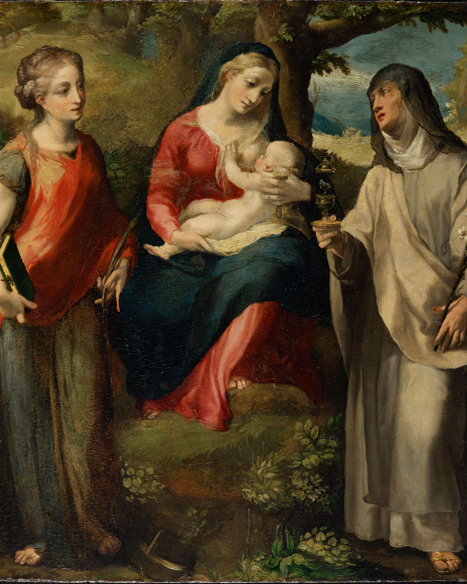 Michelangelo Anselmi, Madonna und Kind mit der heiligen Katharina und der heiligen Klara (um 1530; Öl auf Tafel, 39,8 x 35,7 cm)