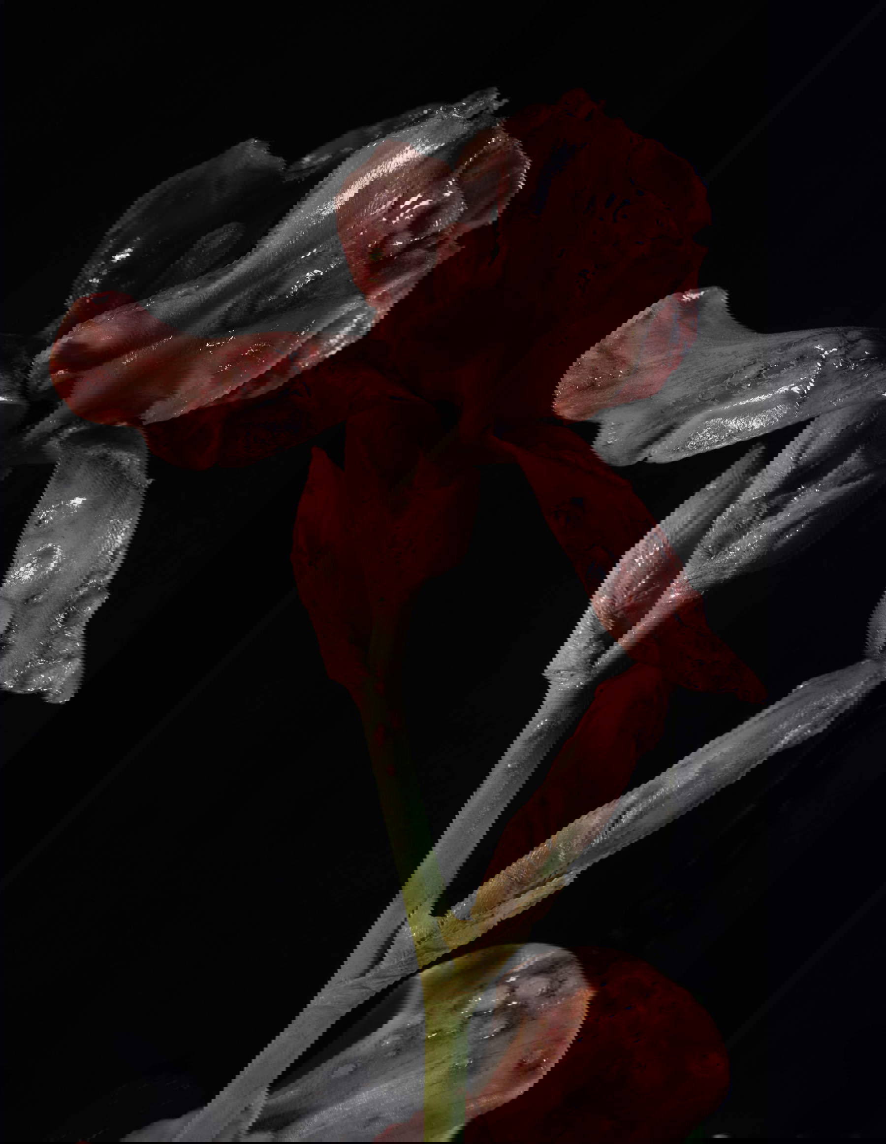 Mat Collishaw, Venal Muse, dettaglio (2012; smalto, vetro, resina, acciaio e legno, 162,56 x 52 x 52 cm) Mat Collishaw, Venal Muse, dettaglio (2012; smalto, vetro, resina, acciaio e legno, 162,56 x 52 x 52 cm)