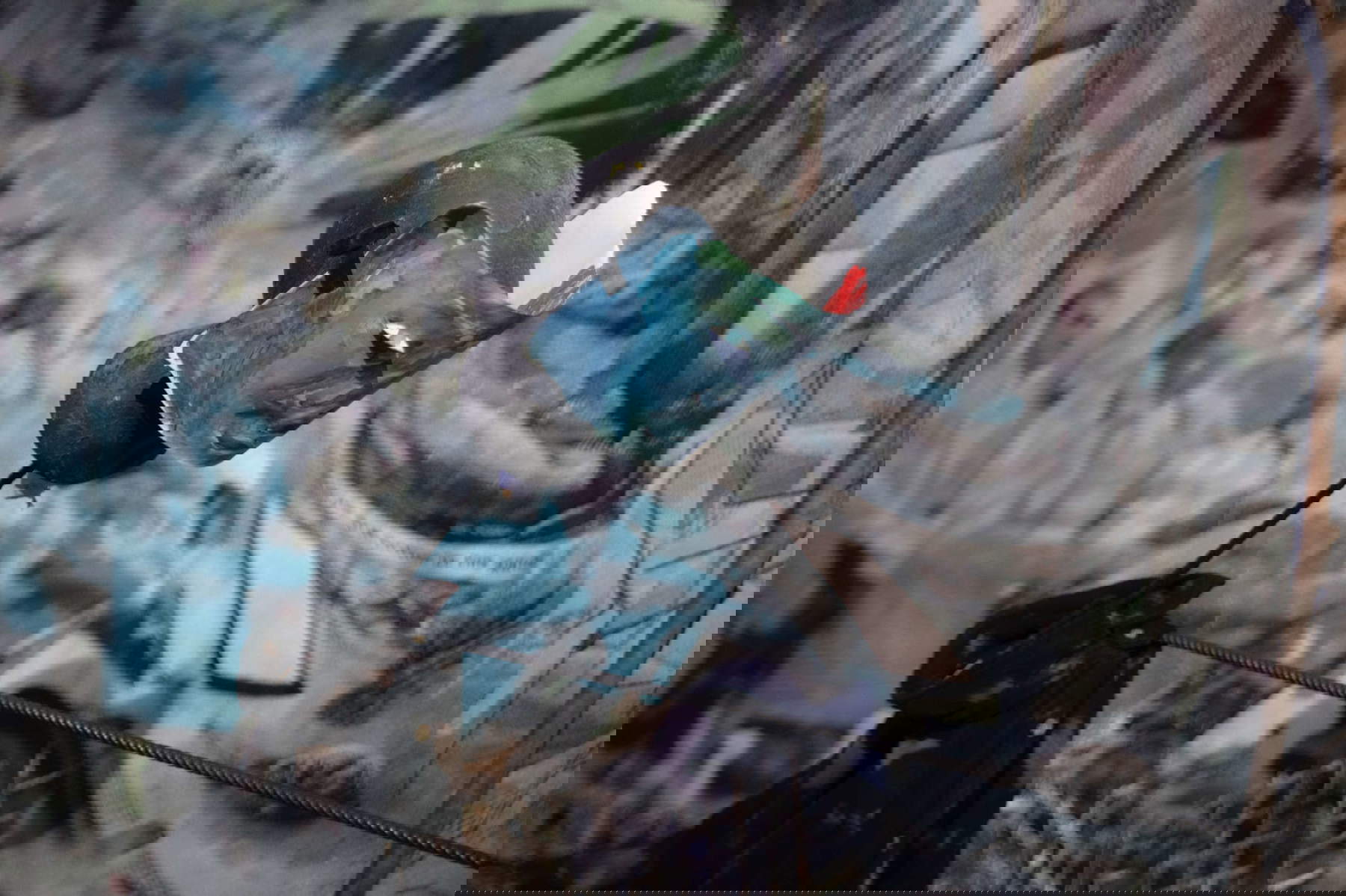 Laure Prouvost, Deep Blue Surrounding You (2019; Installation, verschiedene Materialien). Französischer Pavillon, Biennale von Venedig 2019