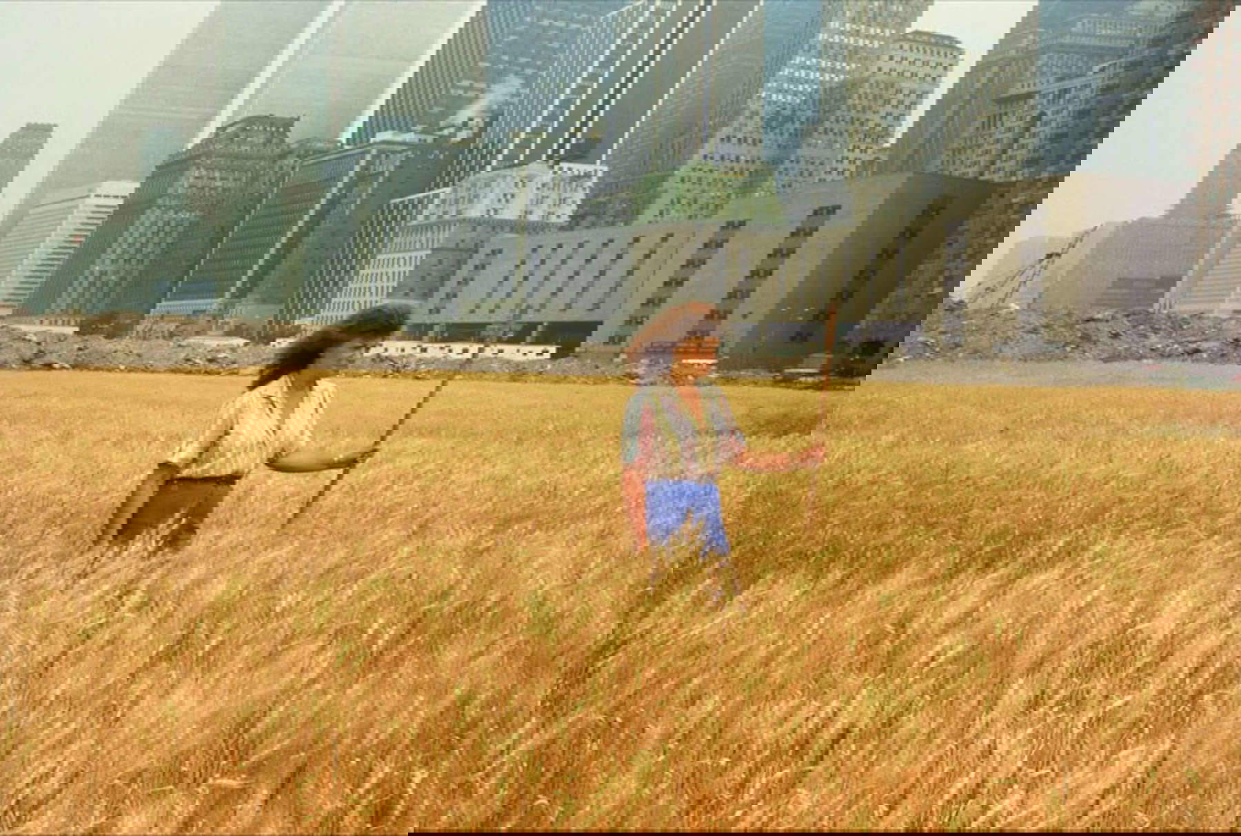 Agnes Denes, Wheatfield - A Confrontation (1982) Agnes Denes, Wheatfield - A Confrontation (1982)