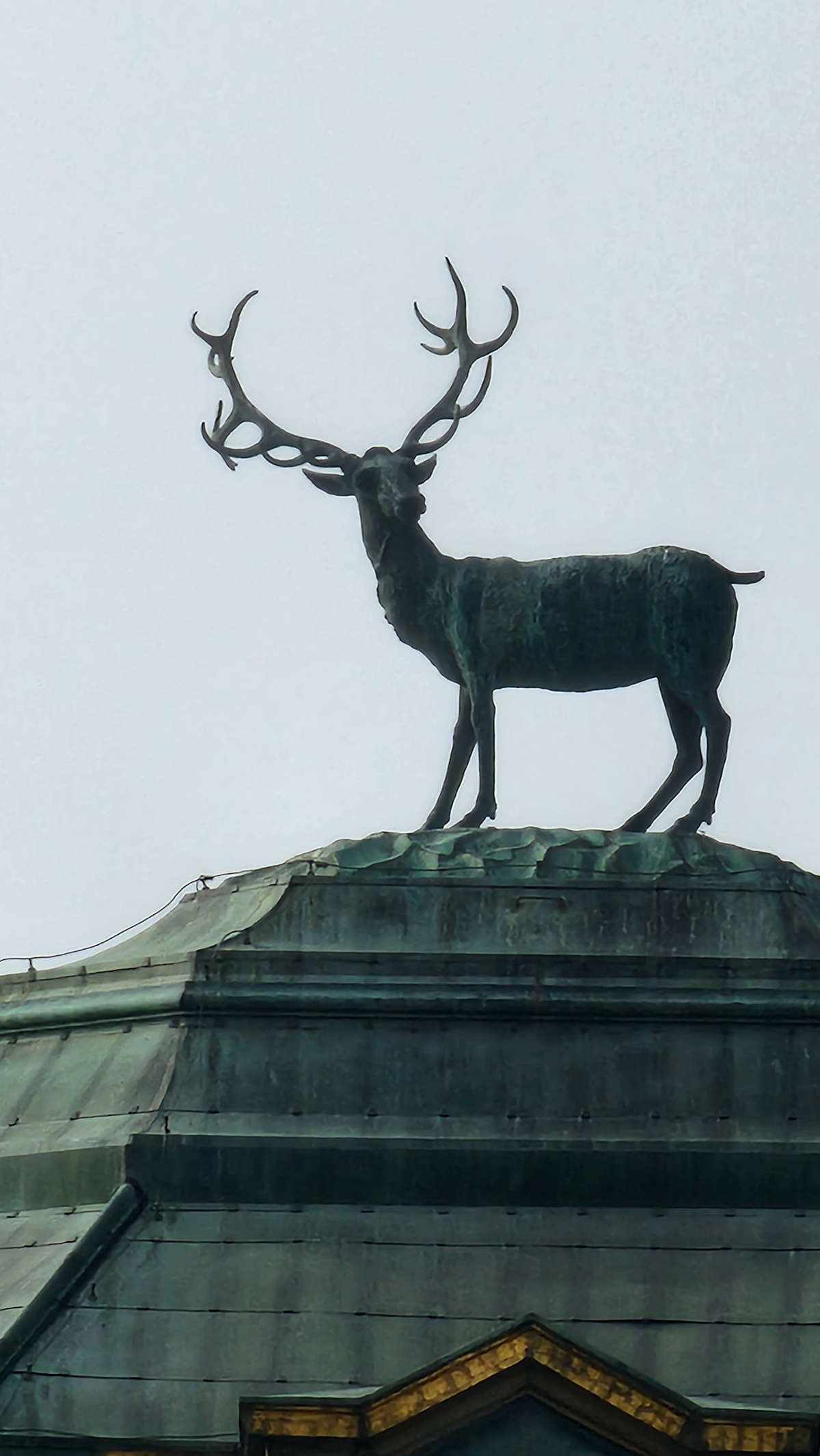 Il cervo sulla cupola Il cervo sulla cupola