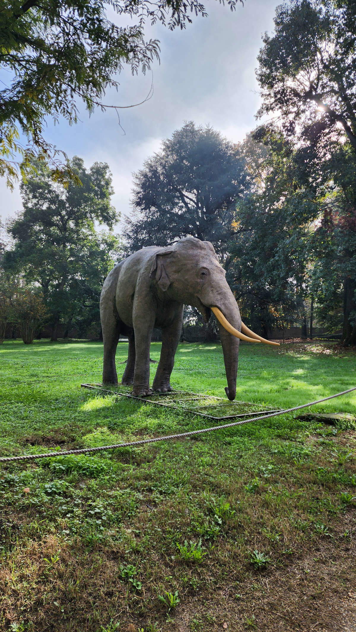 La statua in resina dell'elefante Fritz La statua in resina dell'elefante Fritz