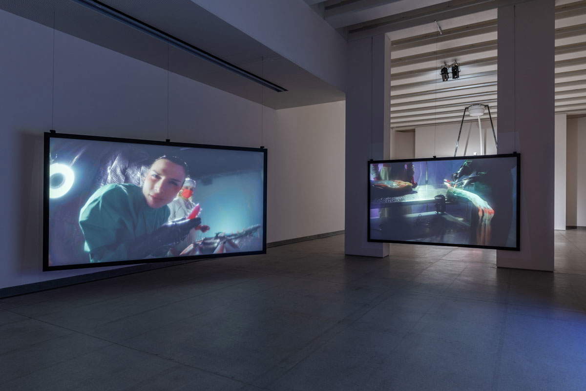 Agnes Questionmark, Nexaris Suite (2024-2025), vue de l'exposition, Tenuta dello Scompiglio, Vorno, Capannori (Lucca). Photo : Leonardo Morfini Agnes Questionmark, Nexaris Suite (2024-2025), vue de l'exposition, Tenuta dello Scompiglio, Vorno, Capannori (Lucca). Photo : Leonardo Morfini