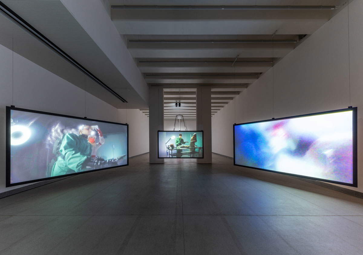 Agnes Questionmark, Nexaris Suite (2024-2025), vue de l'exposition, Tenuta dello Scompiglio, Vorno, Capannori (Lucca). Photo : Leonardo Morfini Agnes Questionmark, Nexaris Suite (2024-2025), vue de l'exposition, Tenuta dello Scompiglio, Vorno, Capannori (Lucca). Photo : Leonardo Morfini