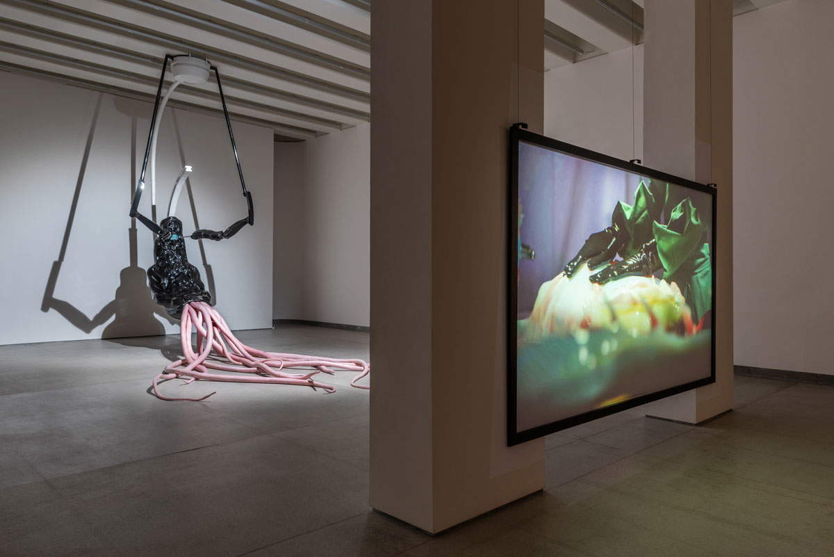 Agnes Questionmark, Nexaris Suite (2024-2025), vue de l'exposition, Tenuta dello Scompiglio, Vorno, Capannori (Lucca). Photo : Leonardo Morfini Agnes Questionmark, Nexaris Suite (2024-2025), vue de l'exposition, Tenuta dello Scompiglio, Vorno, Capannori (Lucca). Photo : Leonardo Morfini