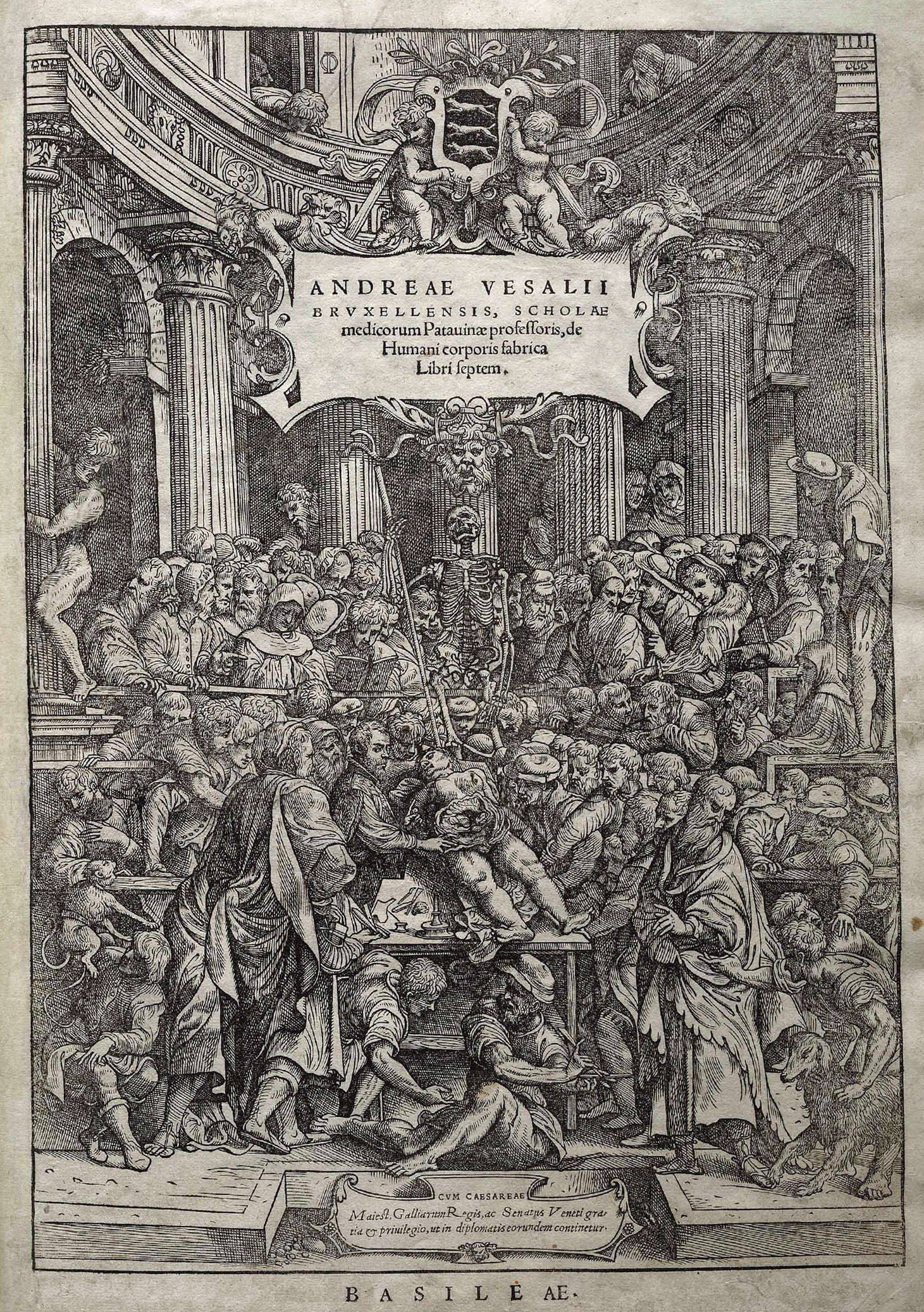 Andrea Vesalius, De humani corporis fabrica libri septem, Basilea, Giovanni Oporino (1543; libro impreso con xilografías [12], 659 [es decir, 663, 37] p.; [1] tabla desplegable: ilustraciones, 1 retrato; 2.º; Vicenza, Biblioteca Civica Bertoliana, BE-156729)