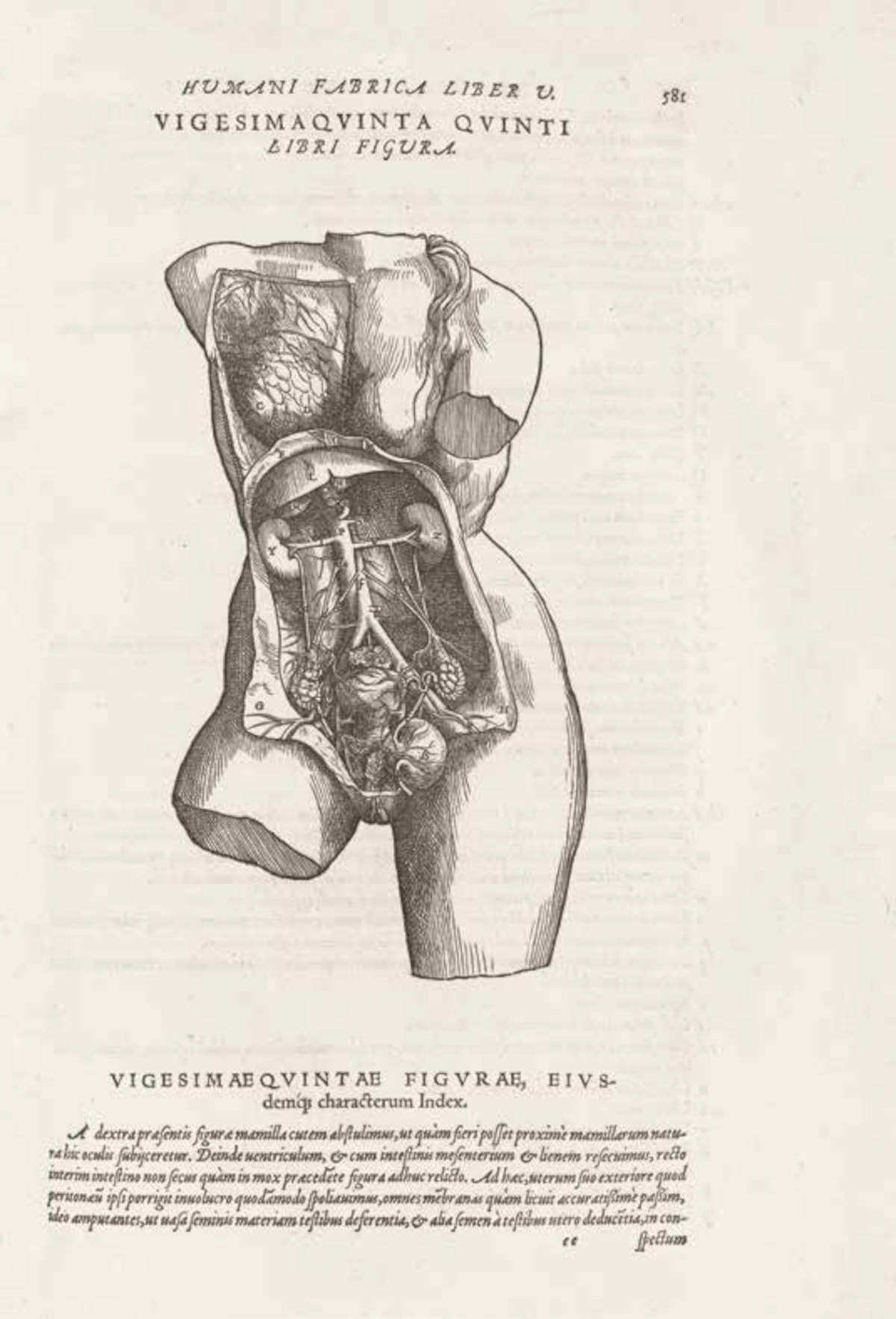 Andrea Vesalio, Tabla anatómica con un torso masculino disecado, de De humani corporis fabrica libri septem, Basilea, Giovanni Oporino (1555; libro impreso con xilografías, 1555 [12], 824, [48] p., [2] tablas desplegables: ilustraciones, 1 retr.; Pie de imprenta: uri s.s., Cam dest (3) 1555 (R). 2&ordm;; Padua, Biblioteca Universitaria, inv. B.67.b.16, p. 575)