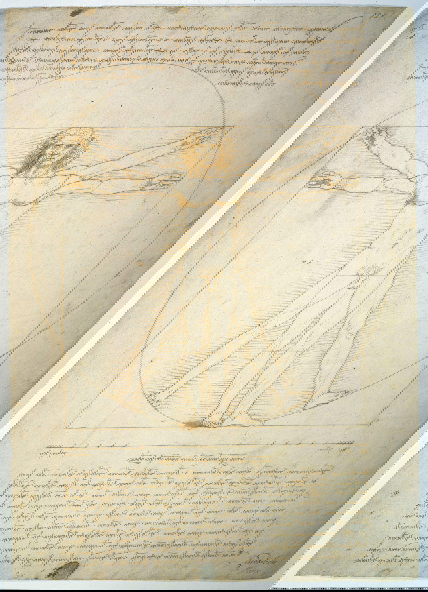 Leonardo da Vinci, Proportionsstudie eines männlichen Körpers (Vitruvianischer Mensch) (1498; Silberstift, Feder und Tinte, verdünnte Tinte auf Papier, 345 x 246 mm; Venedig, Gallerie dell'Accademia, Inv. 228r) Leonardo da Vinci, Proportionsstudie eines männlichen Körpers (Vitruvianischer Mensch) (1498; Silberstift, Feder und Tinte, verdünnte Tinte auf Papier, 345 x 246 mm; Venedig, Gallerie dell'Accademia, Inv. 228r)