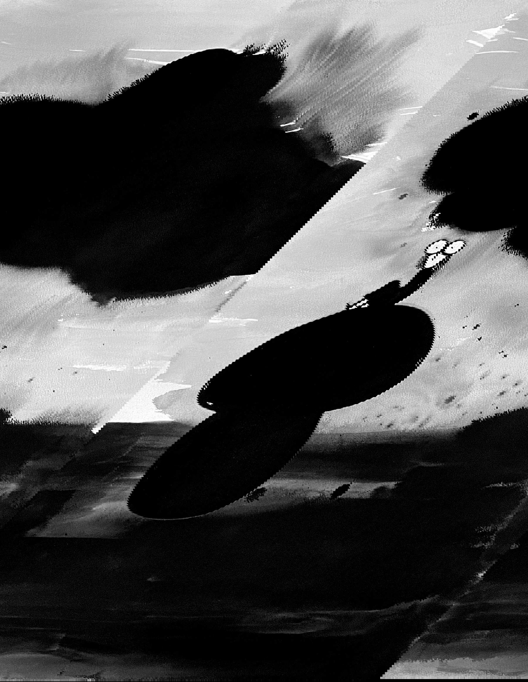 Fausto Gilberti, Last night I was on the ground (2025; Chinese ink on paper, 65x50 cm) Fausto Gilberti, Last night I was on the ground (2025; Chinese ink on paper, 65x50 cm)