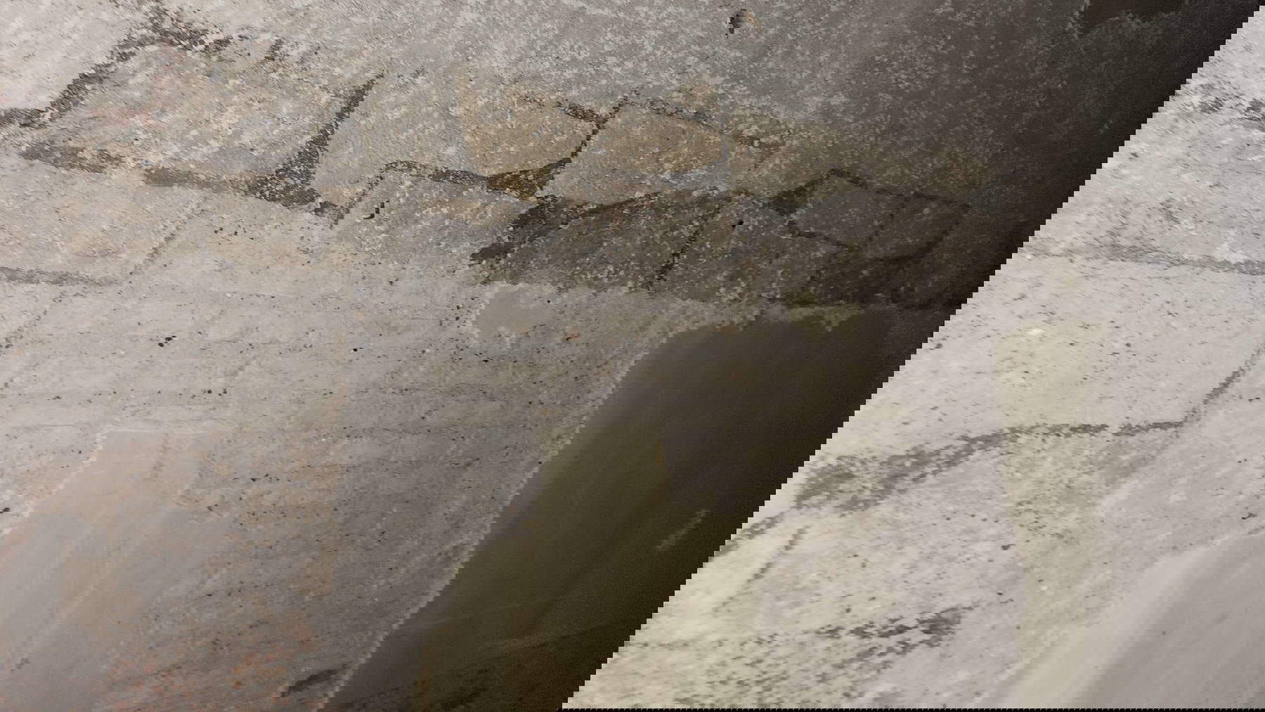 La cara del falso muro La cara del falso muro