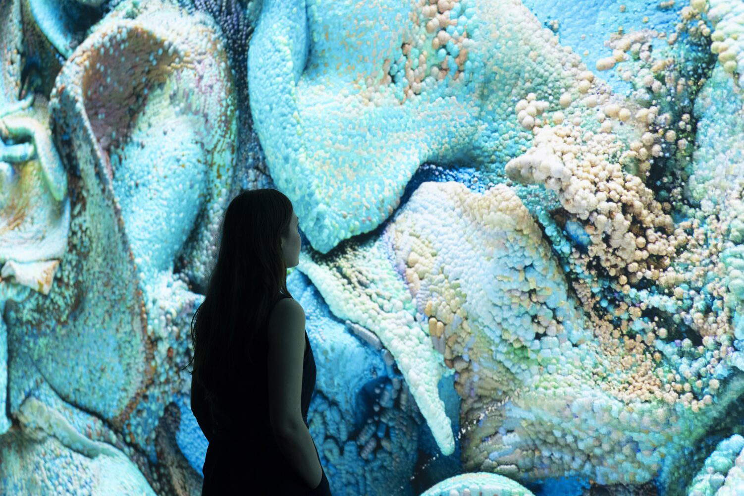 Refik Anadol, Echoes of the Earth: Living Archive (2024). Installationsansicht, London, Serpentine North. Foto: Hugo Glendinning. Mit freundlicher Genehmigung von Refik Anadol Studio und Serpentine Refik Anadol, Echoes of the Earth: Living Archive (2024). Installationsansicht, London, Serpentine North. Foto: Hugo Glendinning. Mit freundlicher Genehmigung von Refik Anadol Studio und Serpentine