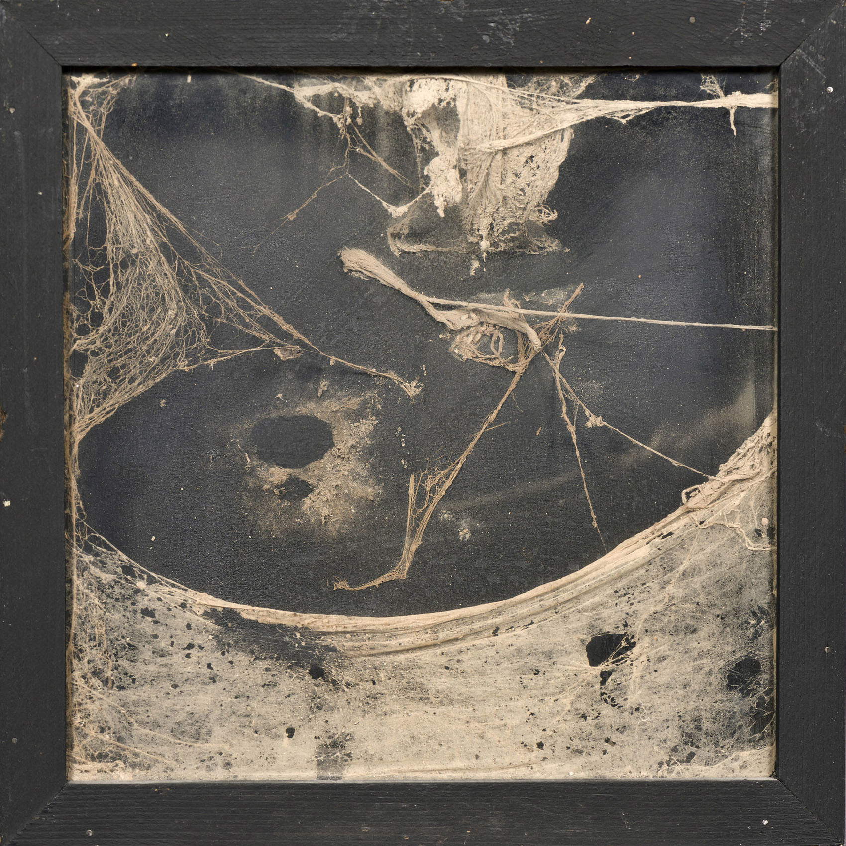 Germano Sartelli, Ragnatela (1979) Germano Sartelli, Ragnatela (1979)