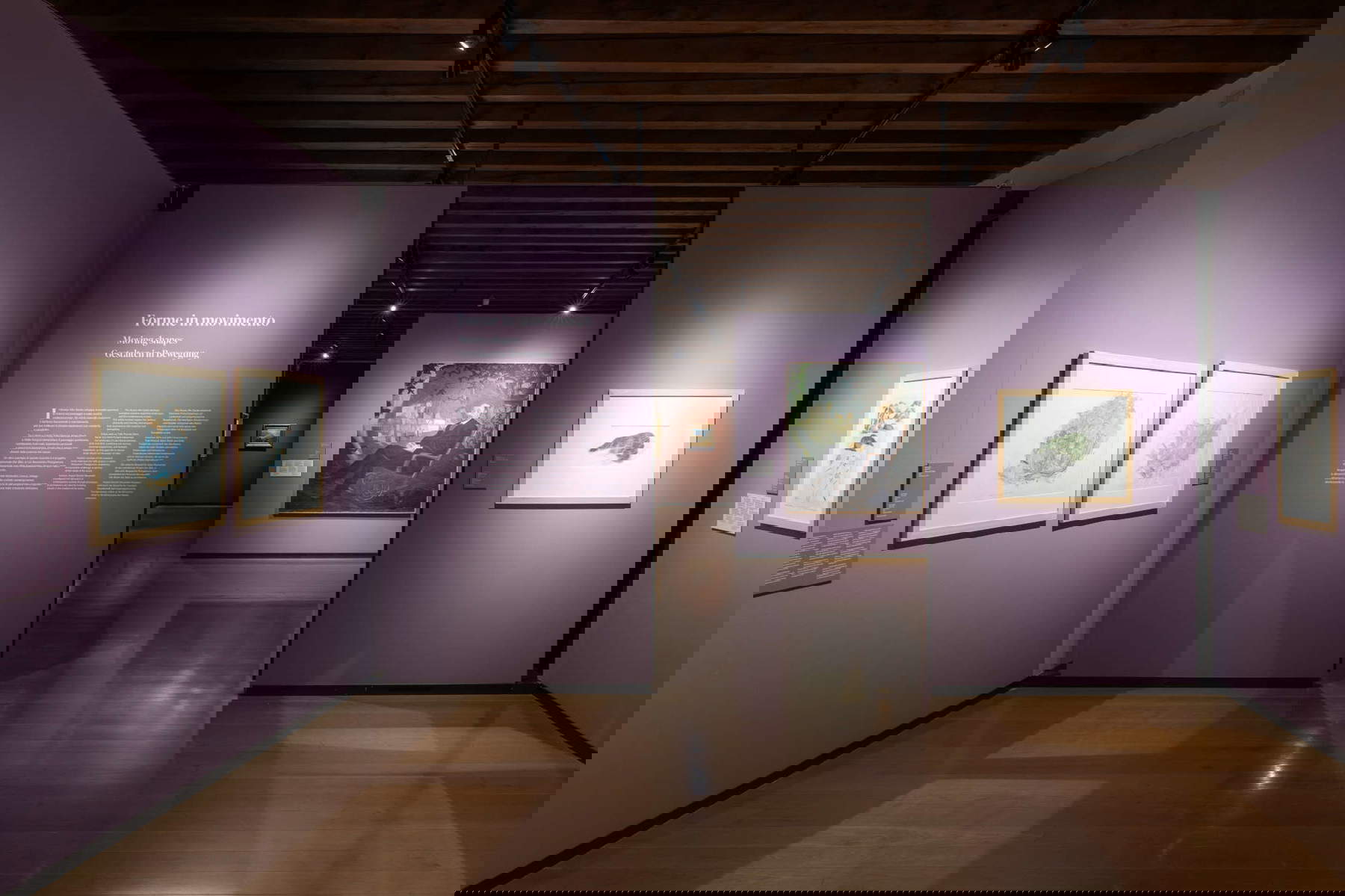 Visionen am Gardasee, Museum des Oberen Gardasees (MAG), Riva del Garda