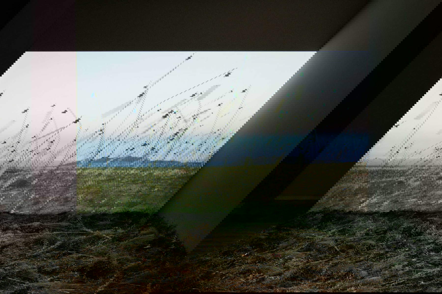 Christian Boltanski, Animitas - Talabre, San Pedro de Atacama, Chile (2014). © Fondation Louis Vuitton / Marc Domage Christian Boltanski, Animitas - Talabre, San Pedro de Atacama, Chile (2014). © Fondation Louis Vuitton / Marc Domage