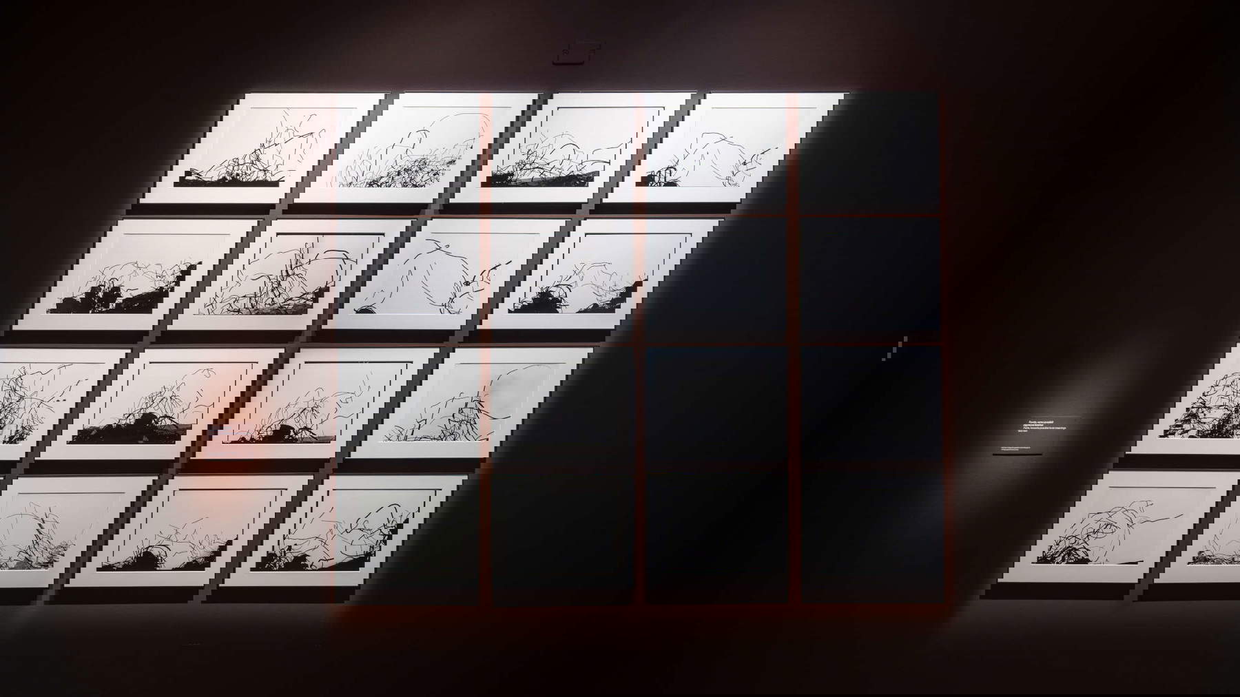 Ausstellungsaufbau Mario Giacomelli. Der Fotograf und der Dichter (Mailand, Palazzo Reale)