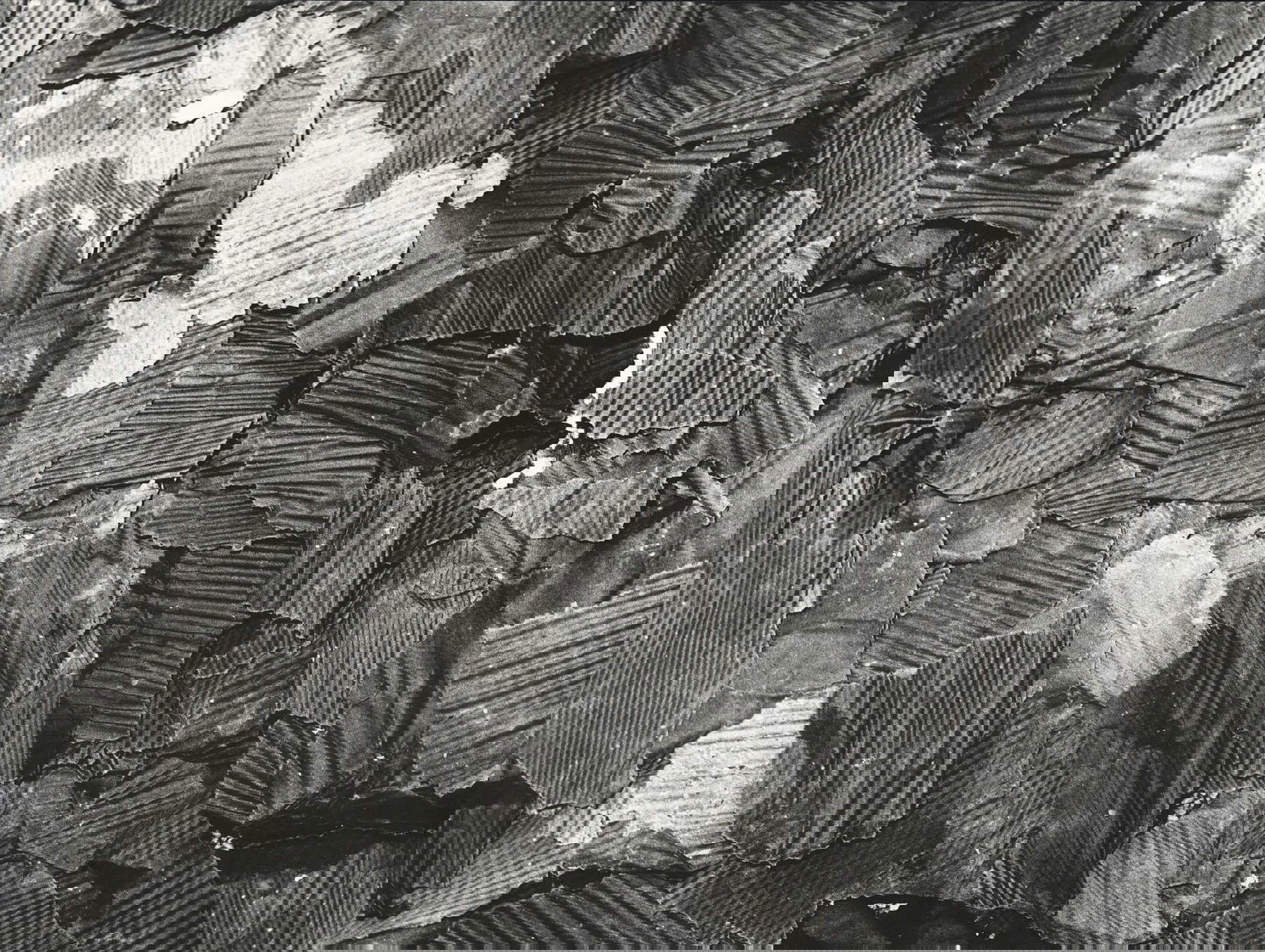 Mario Giacomelli, Bando (1997-1999) &copy; Archivio Mario Giacomelli