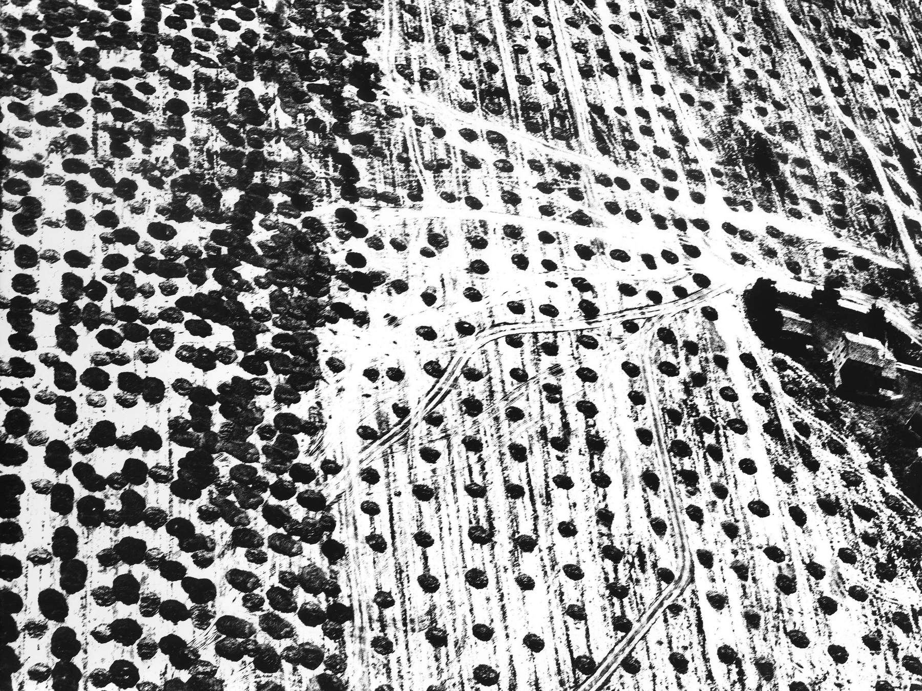 Mario Giacomelli, Die Unendlichkeit (1986-88) &copy; Archivio Mario Giacomelli