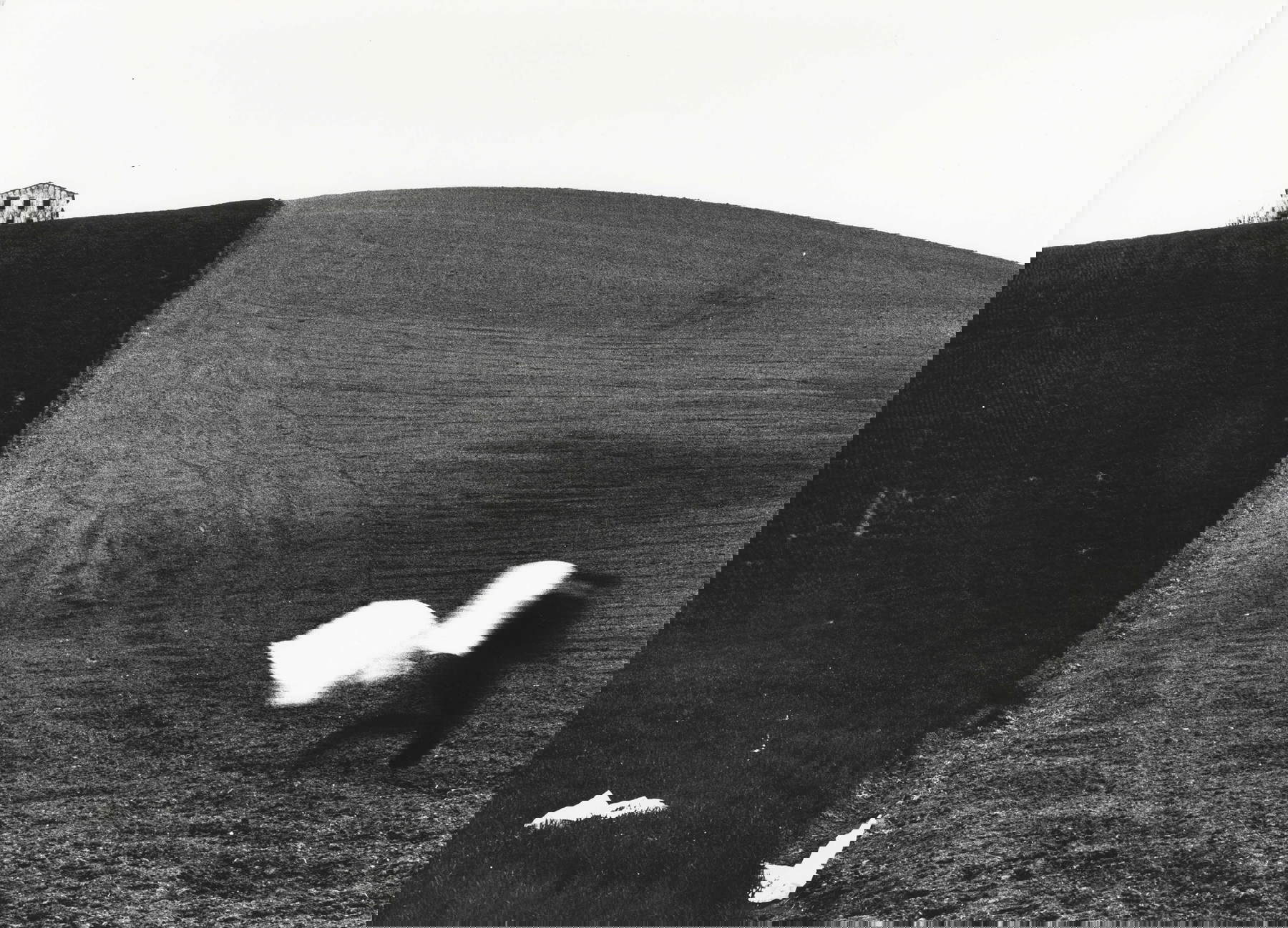 Mario Giacomelli, Metamorphose der Erde (1990er Jahre) &copy; Archivio Mario Giacomelli