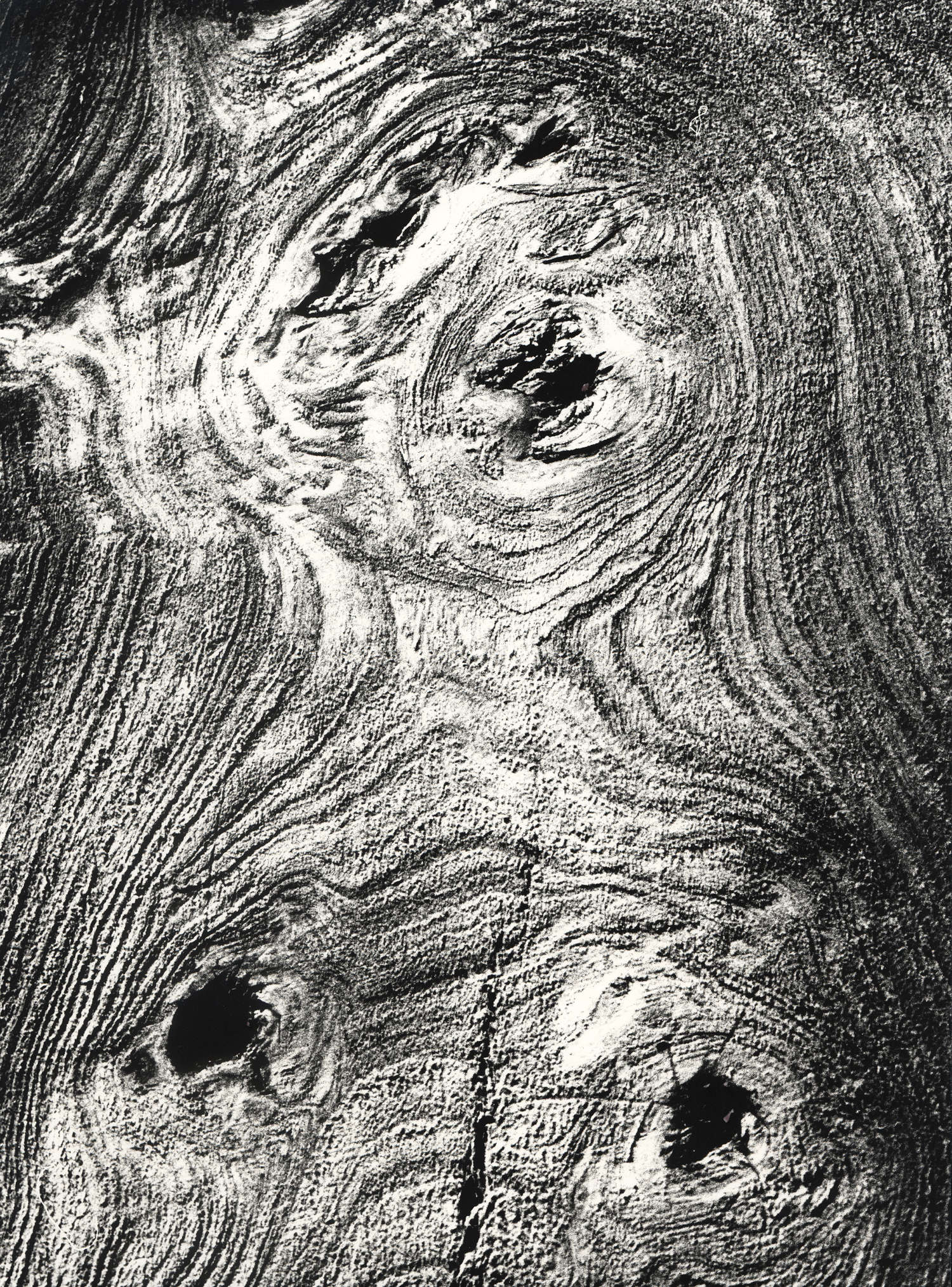 Mario Giacomelli, Motiv der Baumfällung (1966-1968) &copy; Archivio Mario Giacomelli