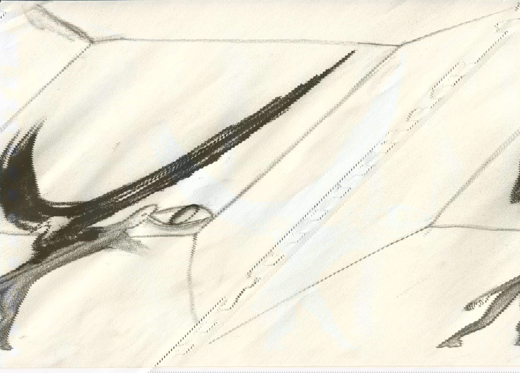 Enzo Cucchi, Senza titolo (2022; matita e carboncino su carta, 21 x 29,6 cm) Enzo Cucchi, Senza titolo (2022; matita e carboncino su carta, 21 x 29,6 cm)