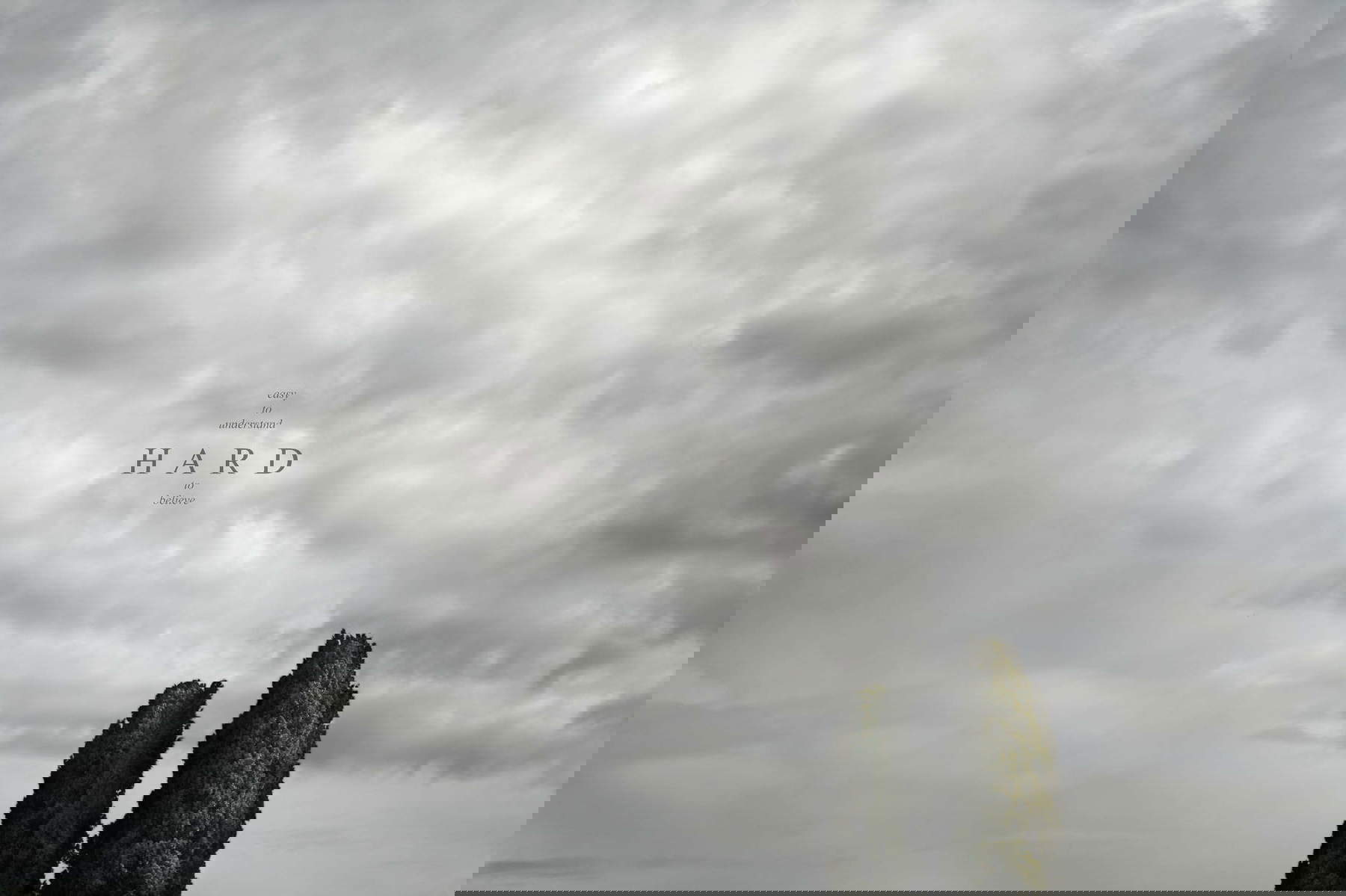 Pierluigi Fresia, Facile à comprendre (2010)