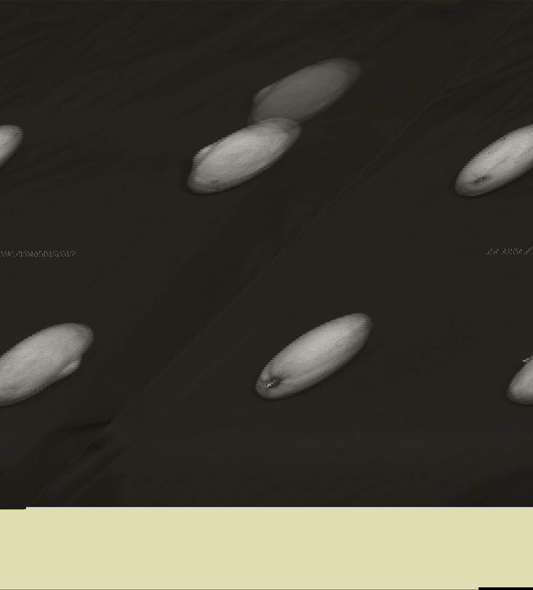 Pierluigi Fresia, La vie est un après-midi (2024)