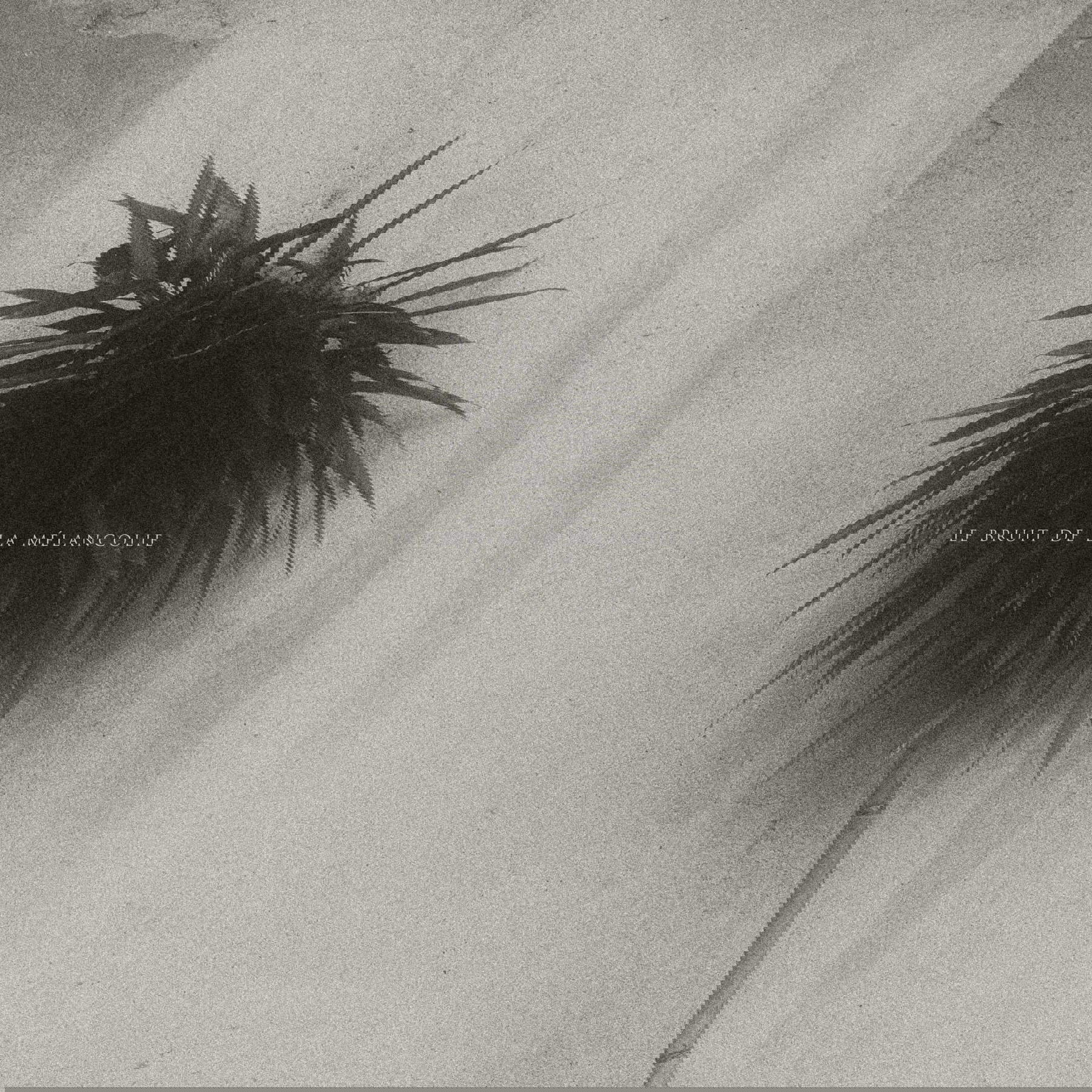 Pierluigi Fresia, Le bruit de la m&eacute;lancolie (2024)