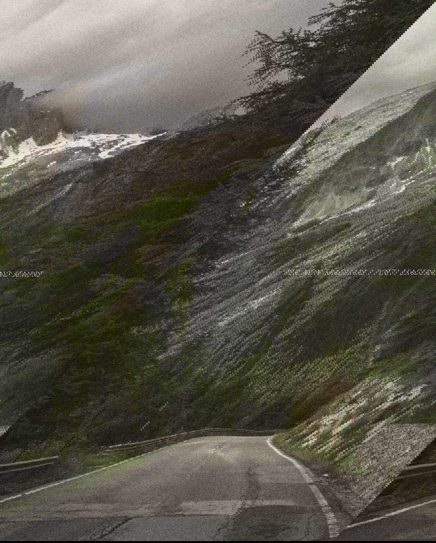 Pierluigi Fresia, To do no wrong (2024)