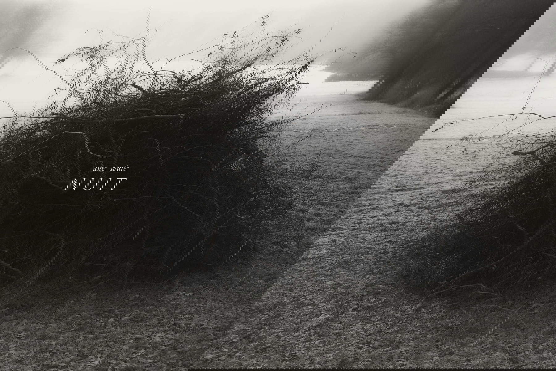 Pierluigi Fresia, Une seule nuit (2010)