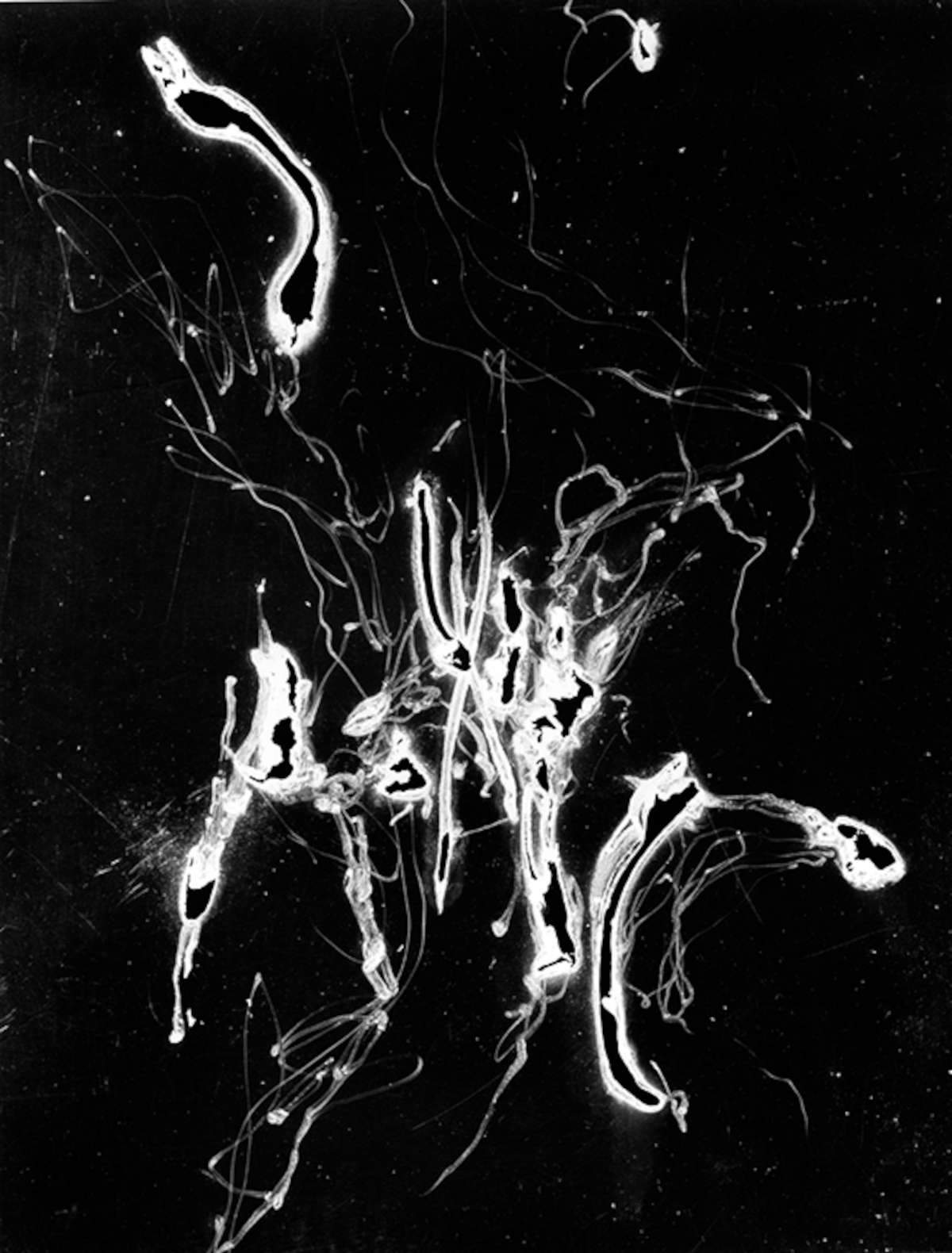 Nino Migliori, Pirogramma, 1948