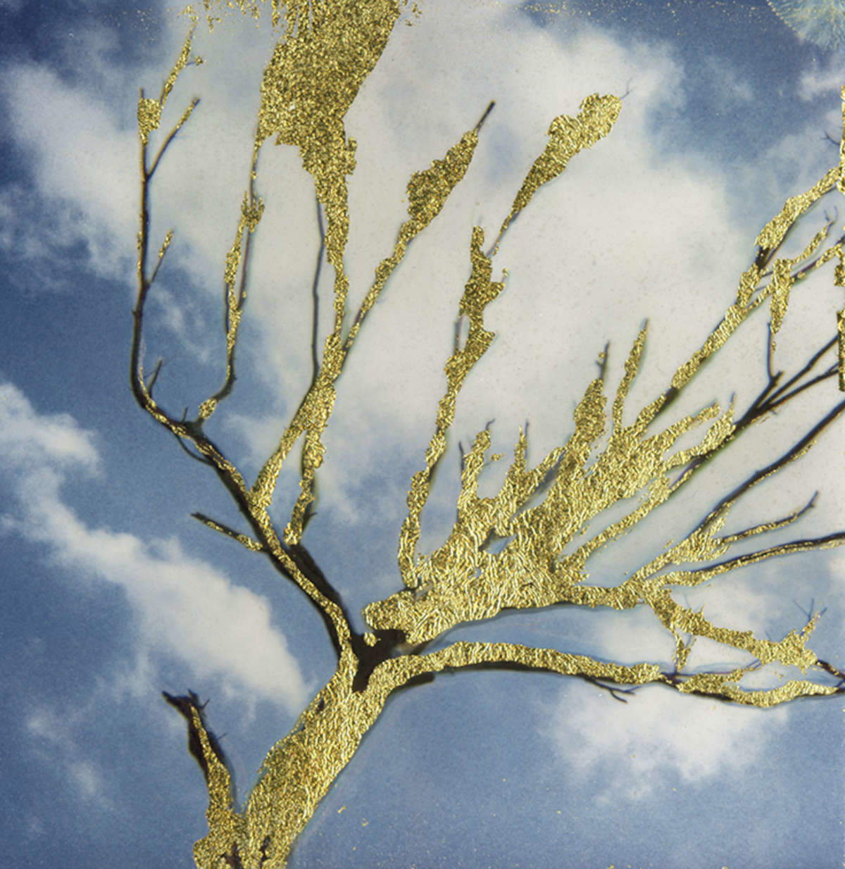 Nino Migliori, Polaoro, 1999