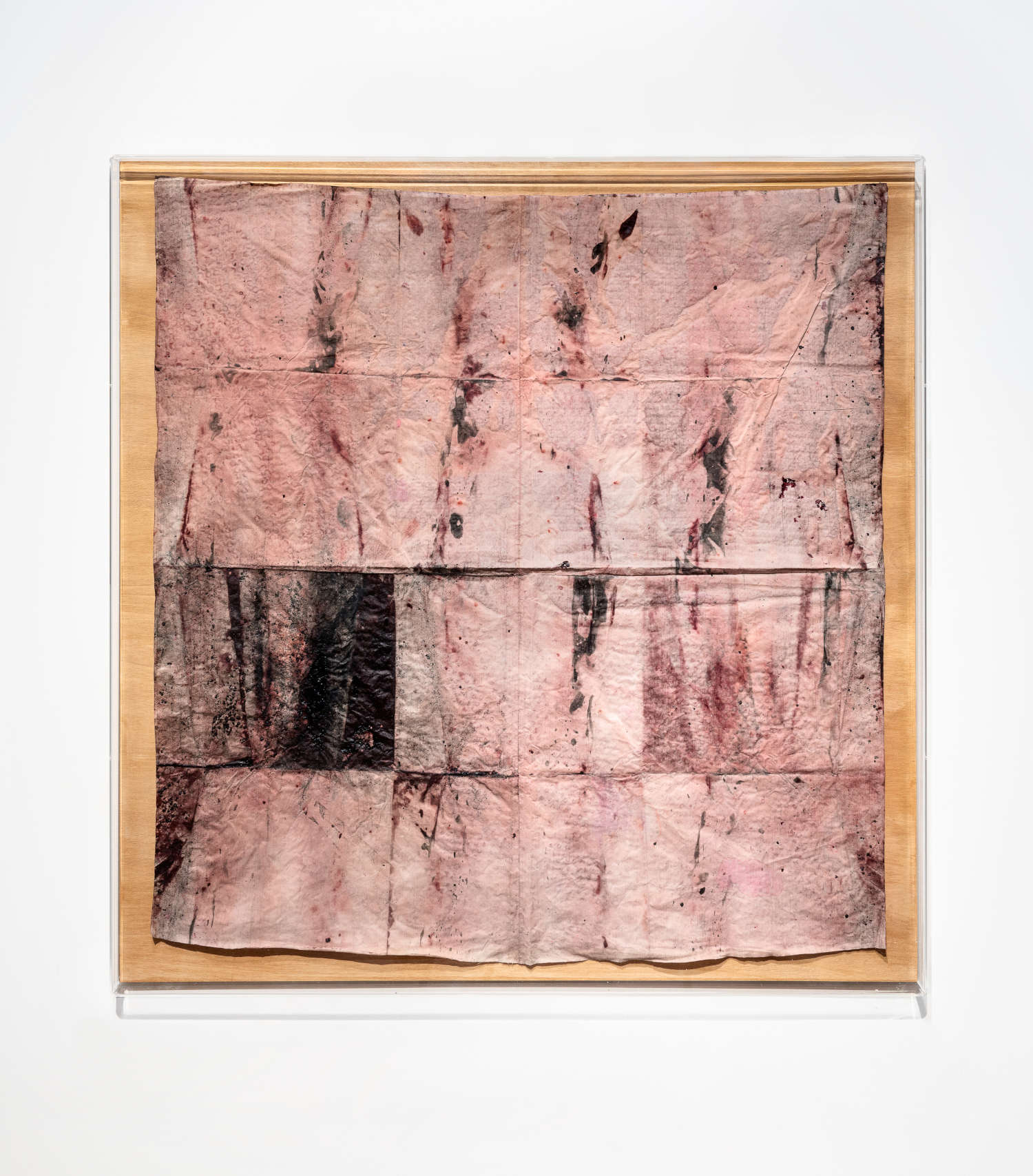 Renata Boero, Ct&ograve;-nio-grafia 