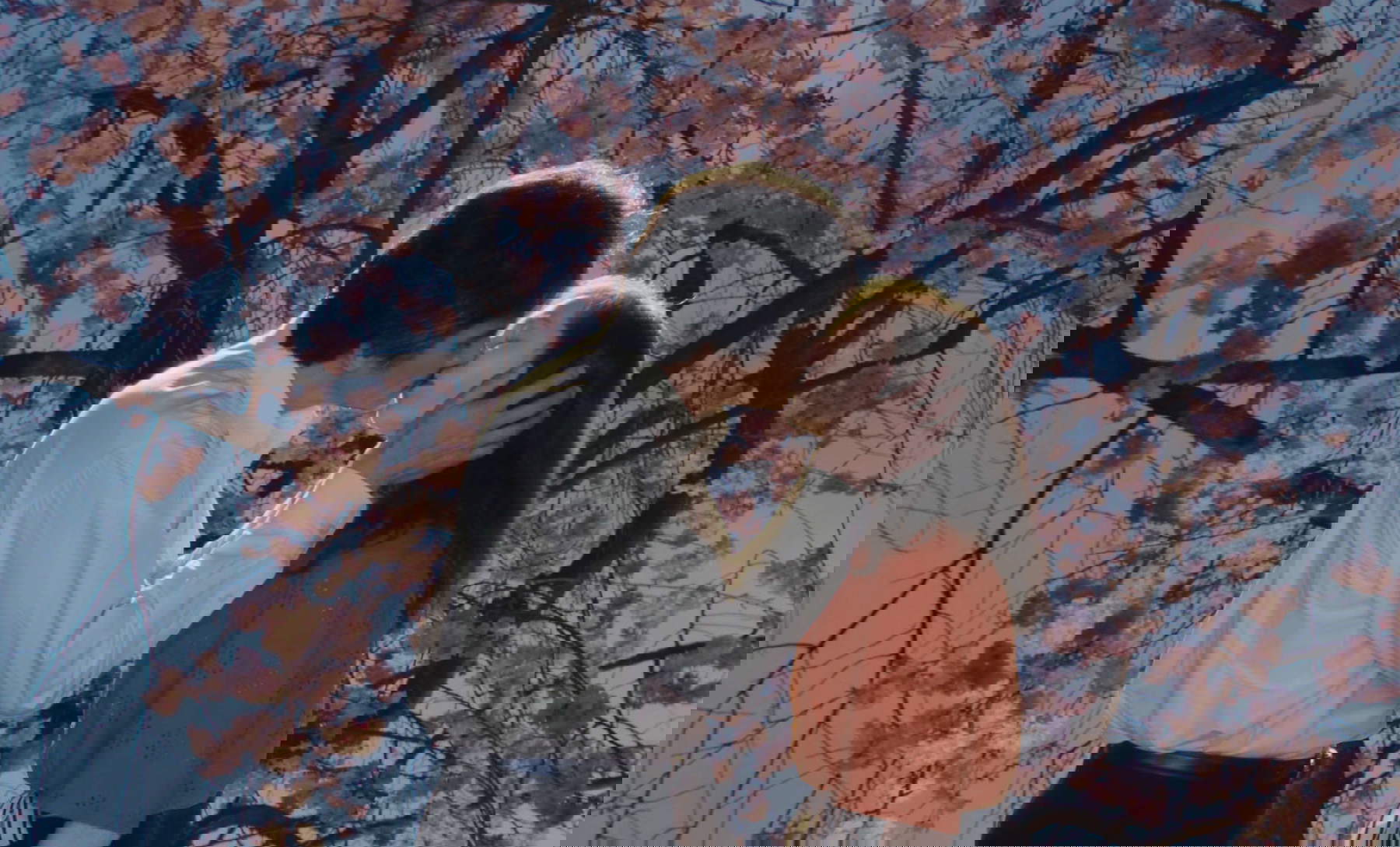 Japanisches Filmfestival in der Toskana