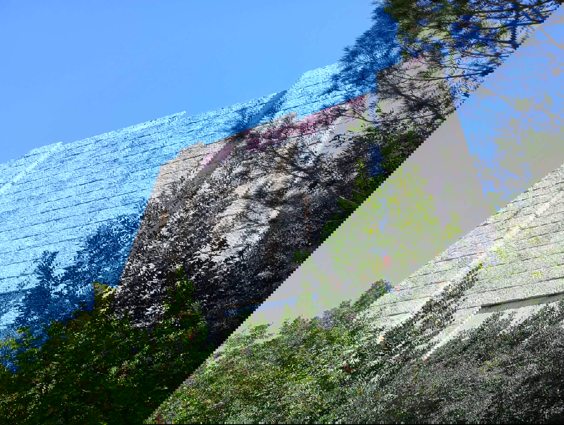 Ruins of the unfinished mausoleum of Costanzo Ciano, Livorno. Photo: Federico Giannini