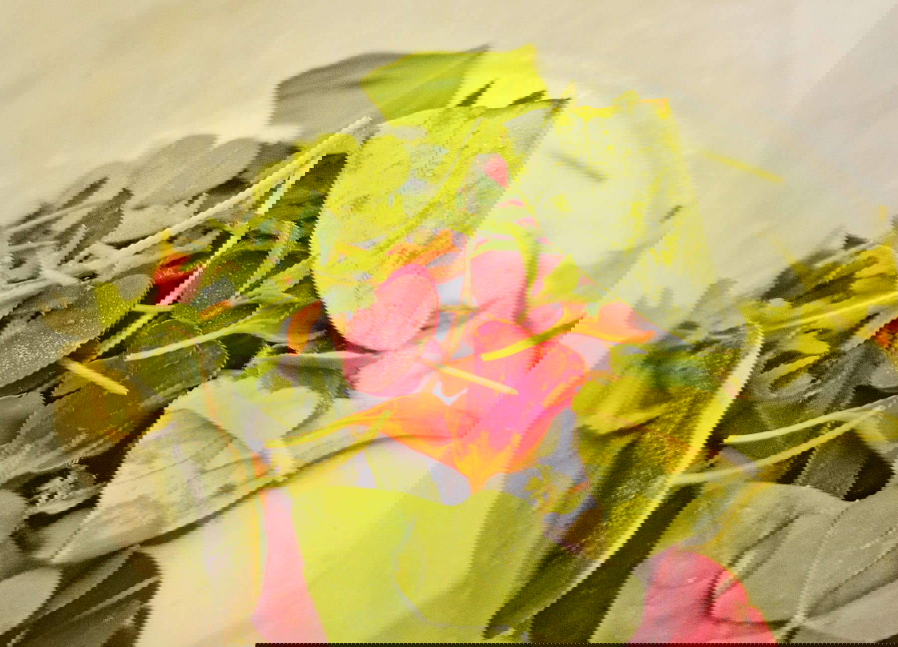 Five-handed dinner dishes at the Festival of Recovery Times Five-handed dinner dishes at the Festival of Recovery Times