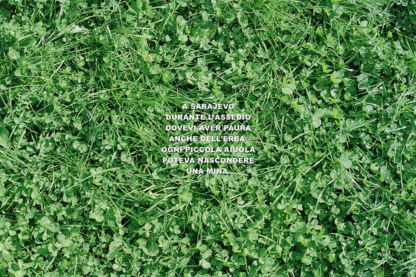 Gea Casolaro, Das Gras von Sarajevo #2 (1998-2025; 60 Lambda-Abzüge, 46,66 x 70 cm) &copy; Gea Casolaro Mit Genehmigung des Künstlers