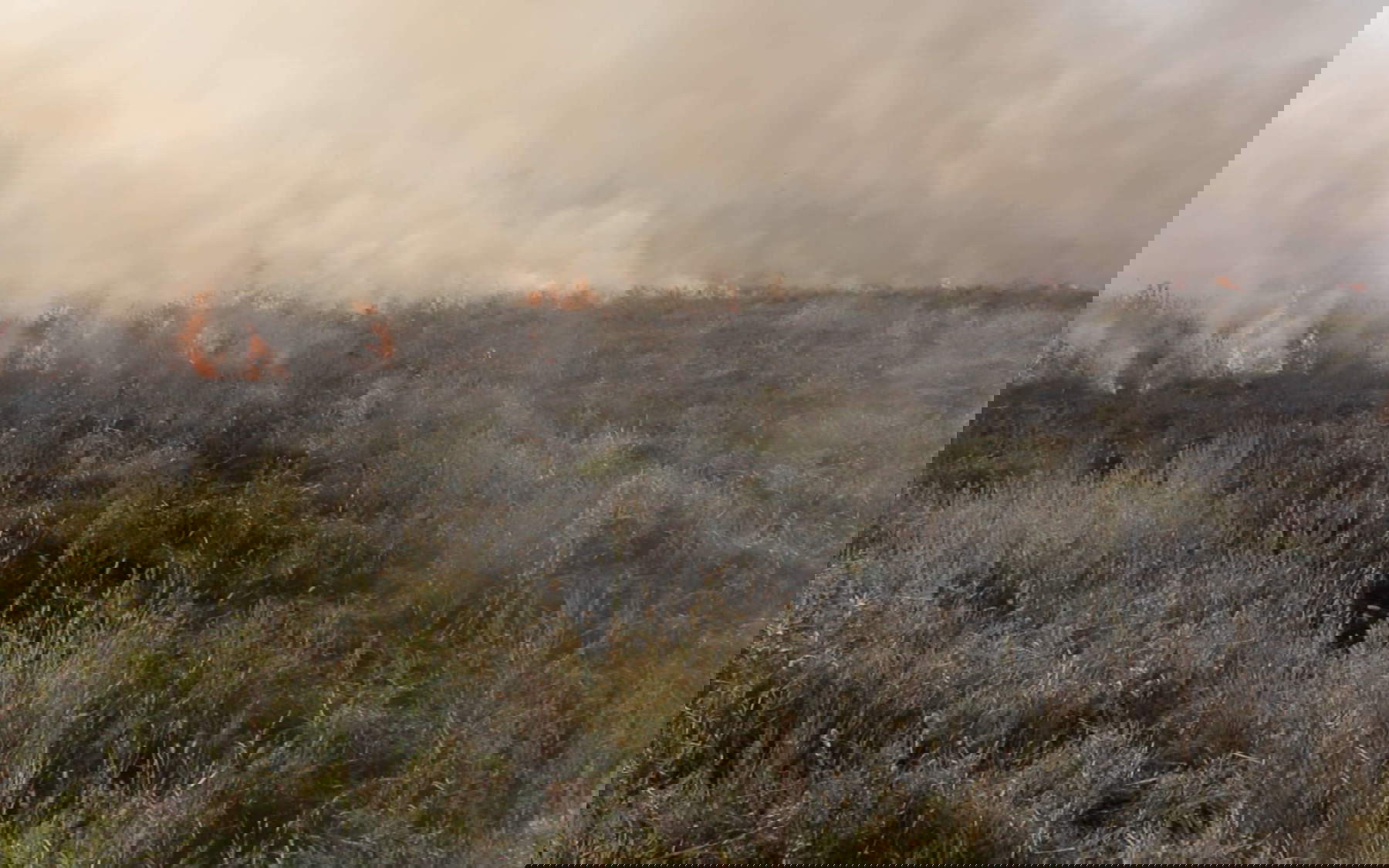 Mila Panic, Burning Field (2017; HD-Videoprojektion, 106') &copy; Mila Panic Courtesy of the artist