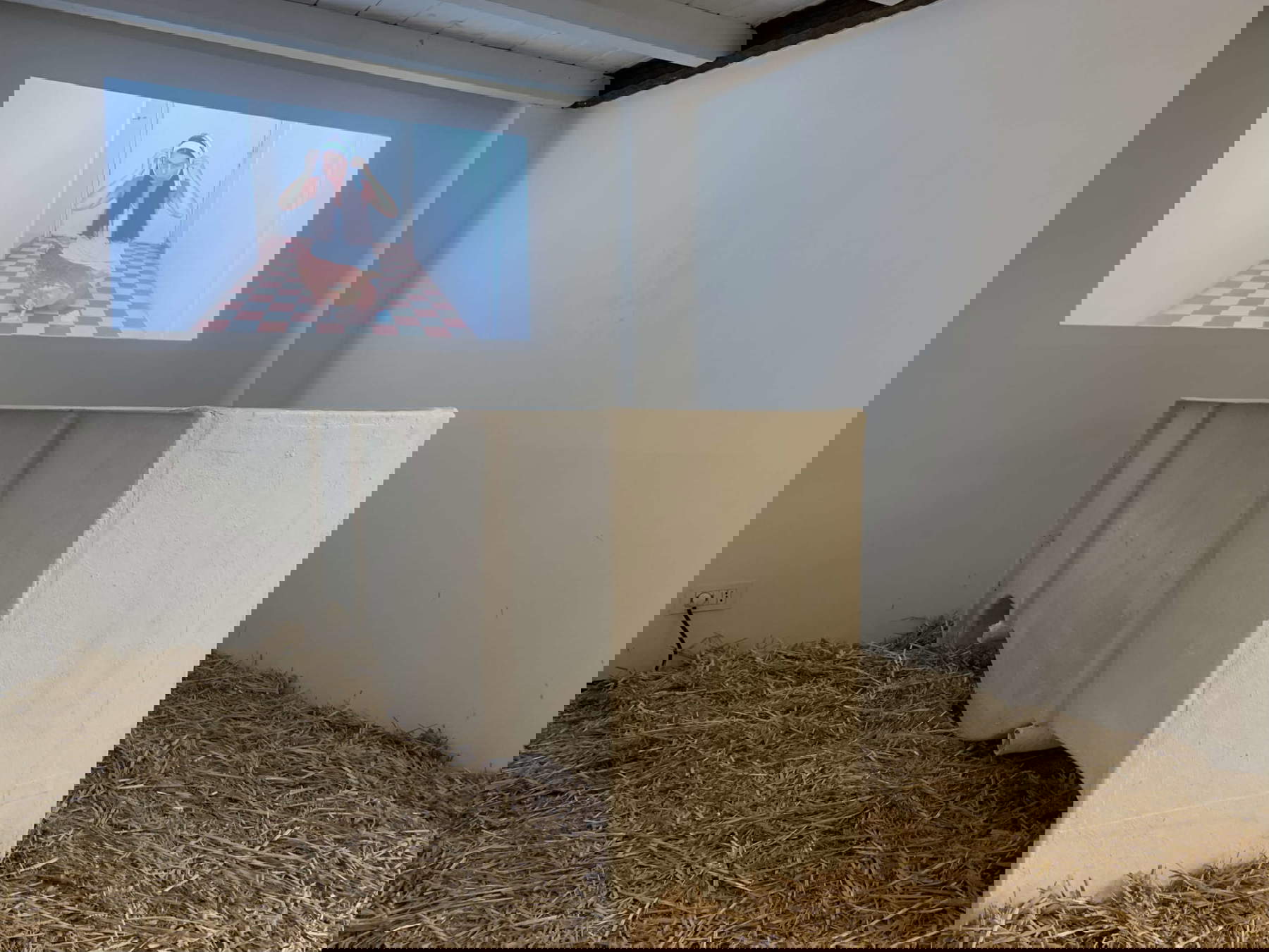 Romina De Novellis, Si tu m'aimes, prot&egrave;ge-moi (2022; Videoinstallation mit Wanne und Stroh, 6'33''). Mit freundlicher Genehmigung der Galerie Alberta Pane (Paris, Venedig)